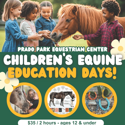 Children pet a pony at a park. A woman holding a baby pet horse. A diagram depicts different parts of a horse, and horseshoes lie on gravel. Prado Park Equestrian Center Children’s Equine Education Days, $35/2 hours-ages 12 and under.