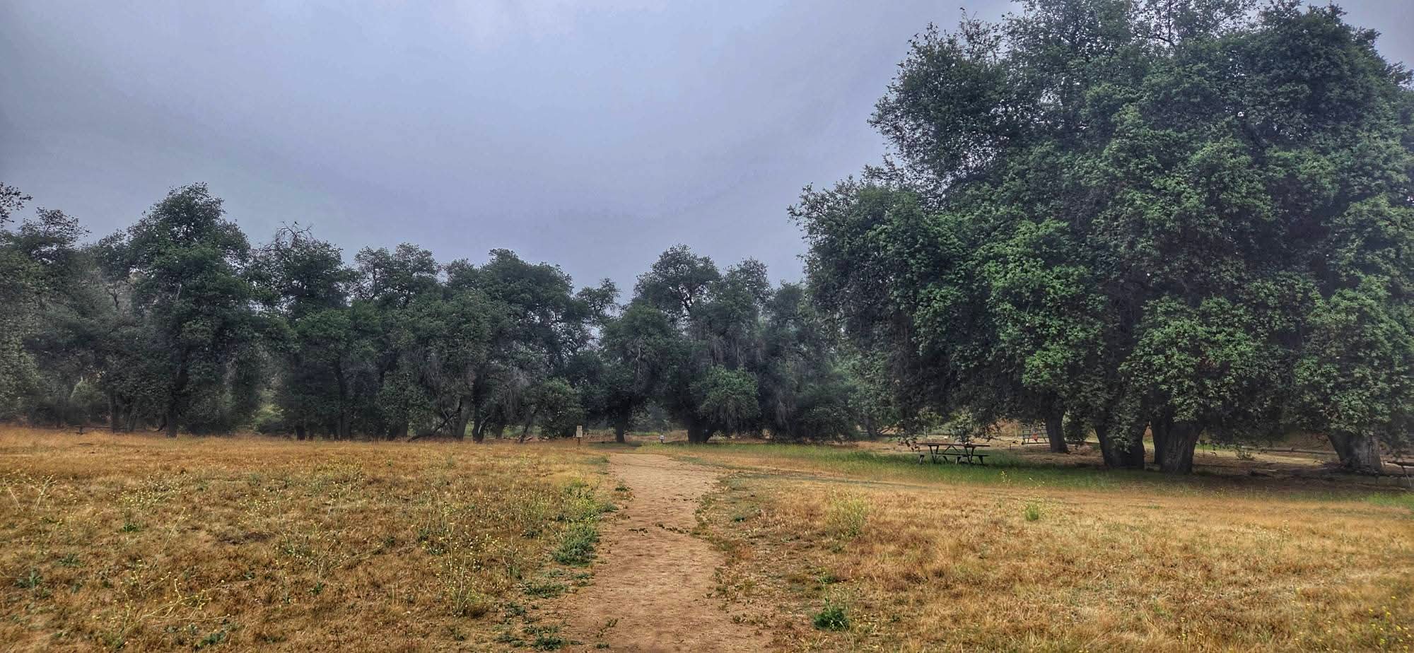 A scenic view of a grassy, lightly worn path stretches through an open field surrounded by numerous large, lush trees under a cloudy sky. The setting is tranquil and natural.