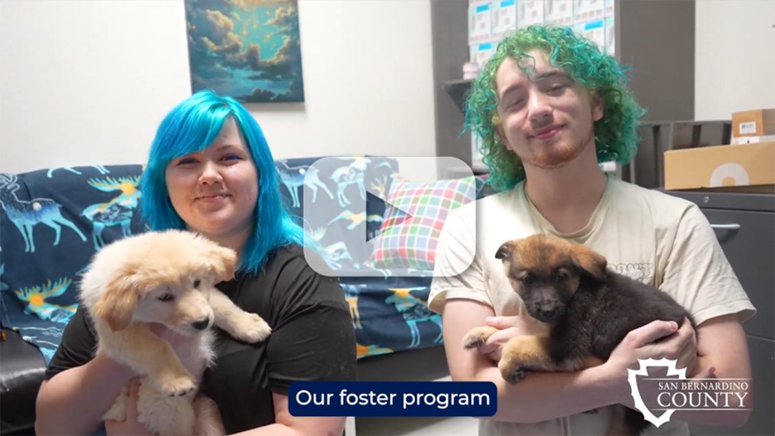 Two foster caregivers sit indoors holding puppies, showing how foster homes help shelter pets prepare for adoption.