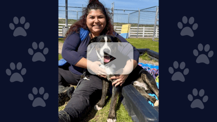 A dog poses with an Animal Care staff member outdoors with a play button overlay, indicating a video.