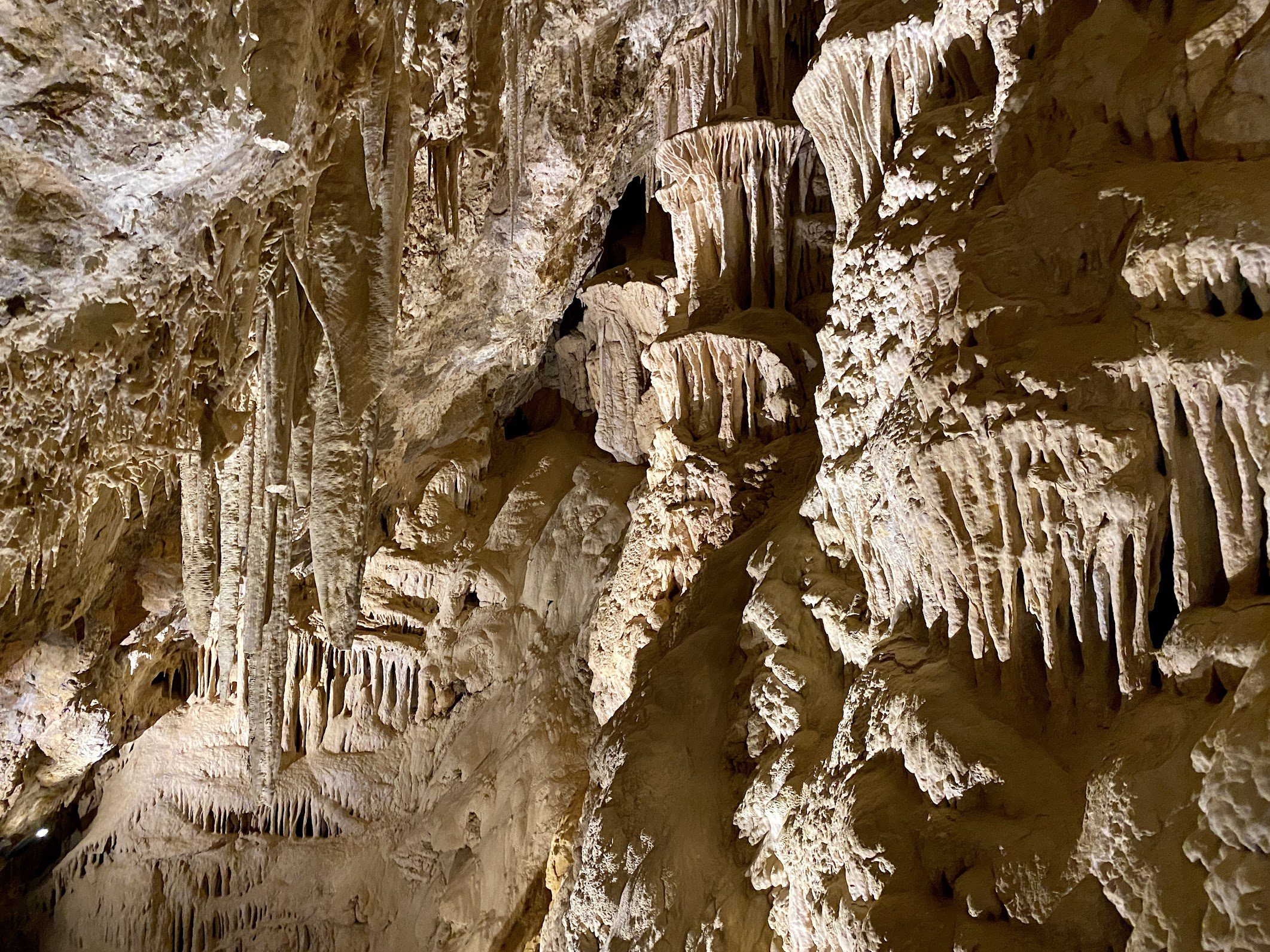 A view of natural tone stalactites and stalagmites inside a limestone cave.