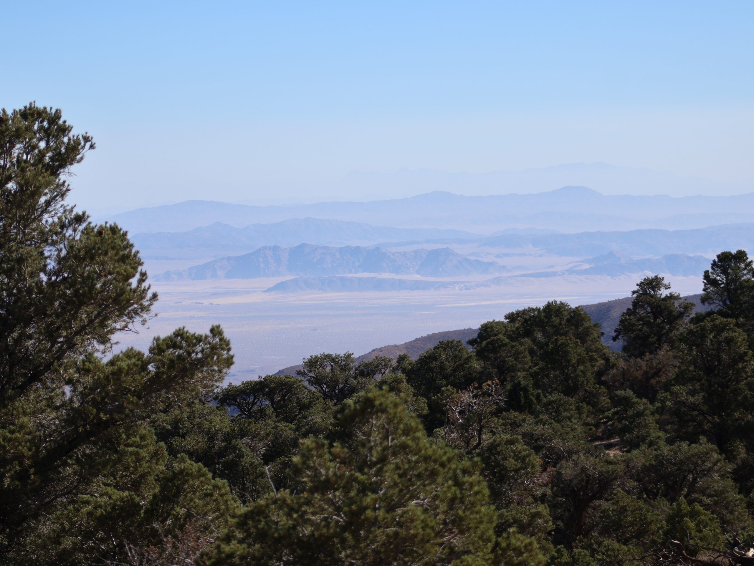 A scenic view of Pacific Crest Trail. The foreground features green trees, with a vast desert landscape and mountain ranges in the background under a clear blue sky.