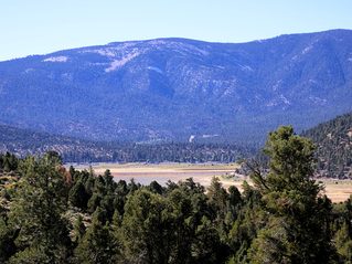 A view of a forest and tall mountains under a clear blue sky.
