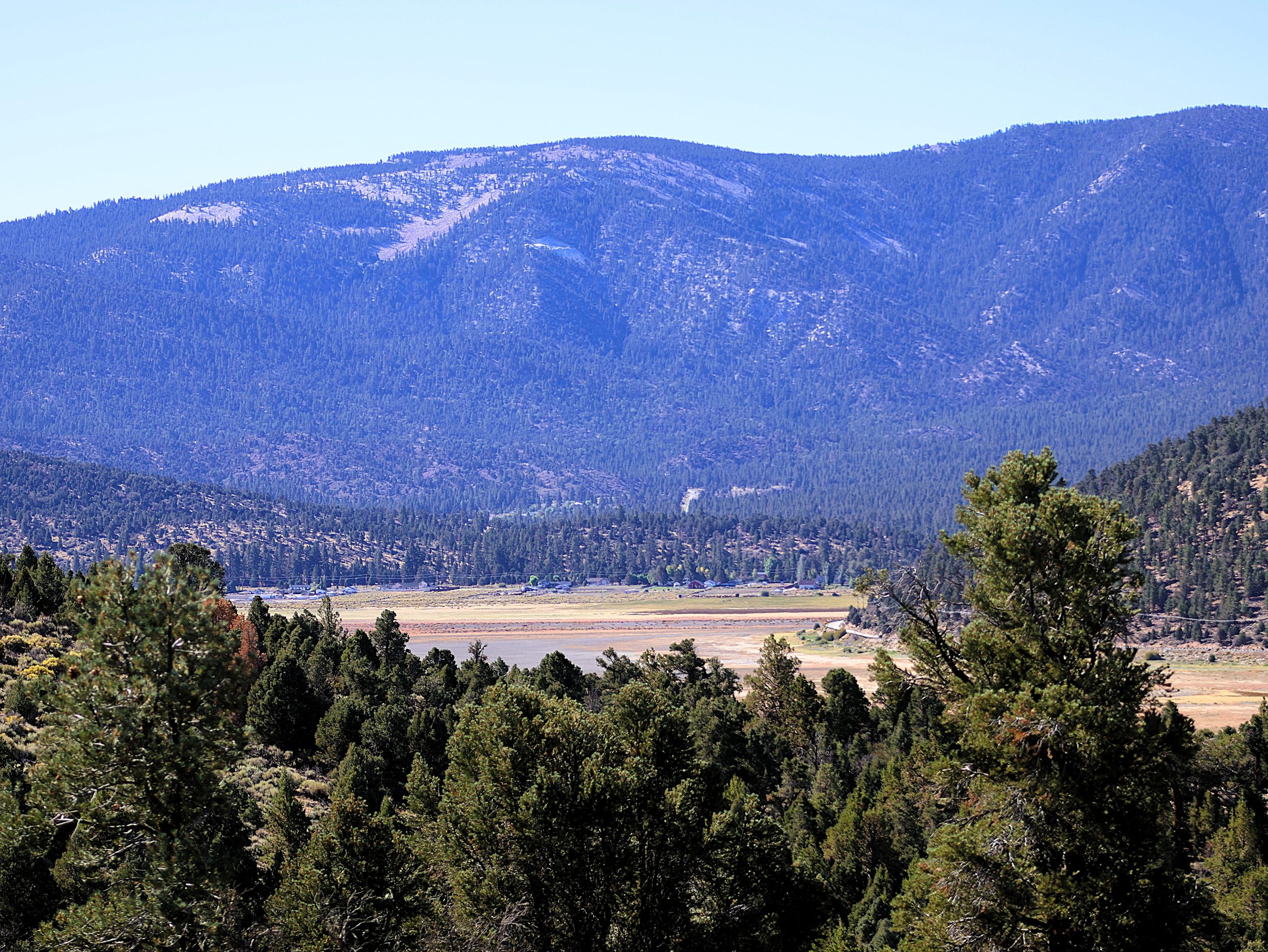 A view of a forest and tall mountains under a clear blue sky.