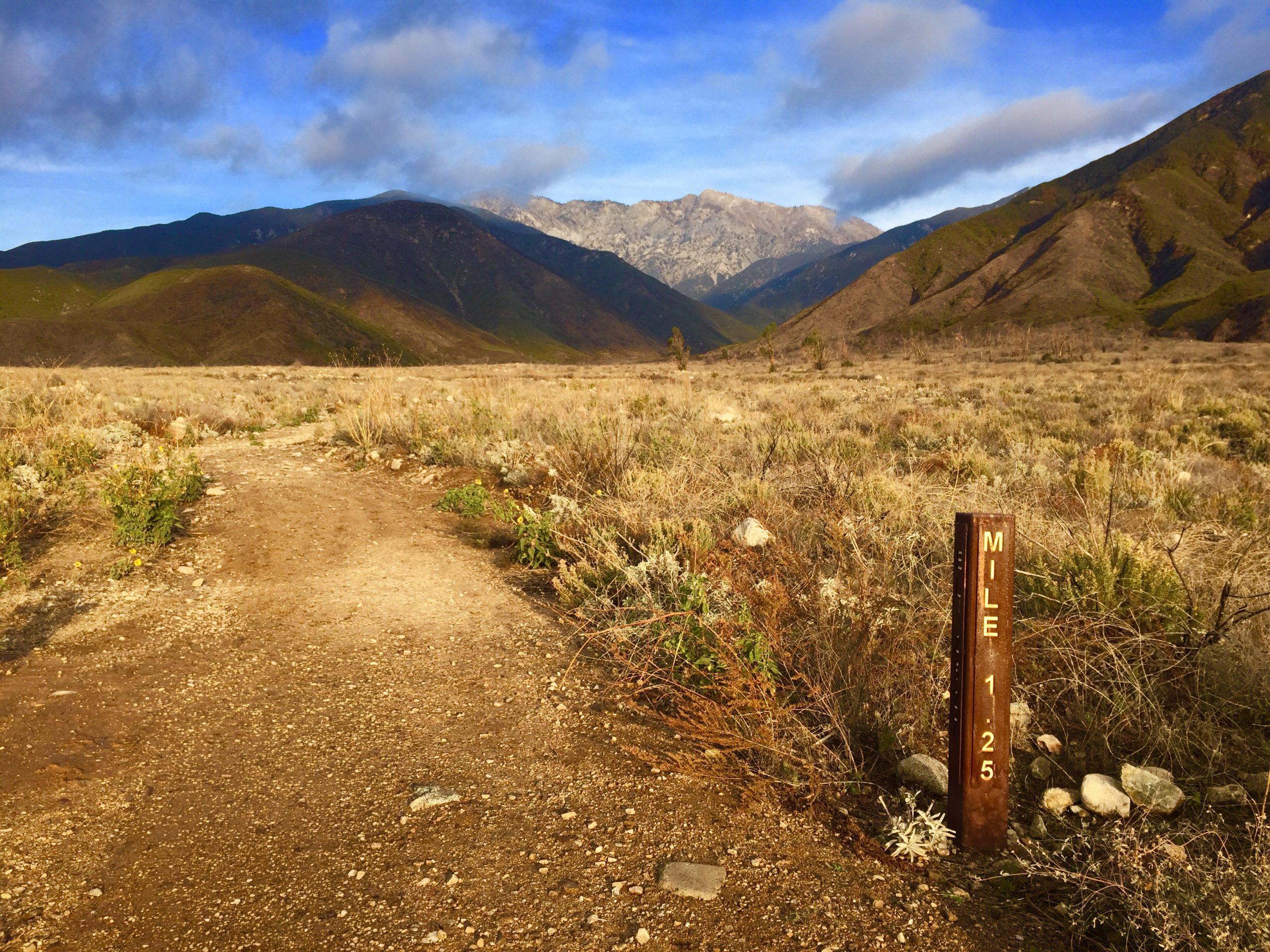 A dirt trail winds through a grassy field towards the mountains.