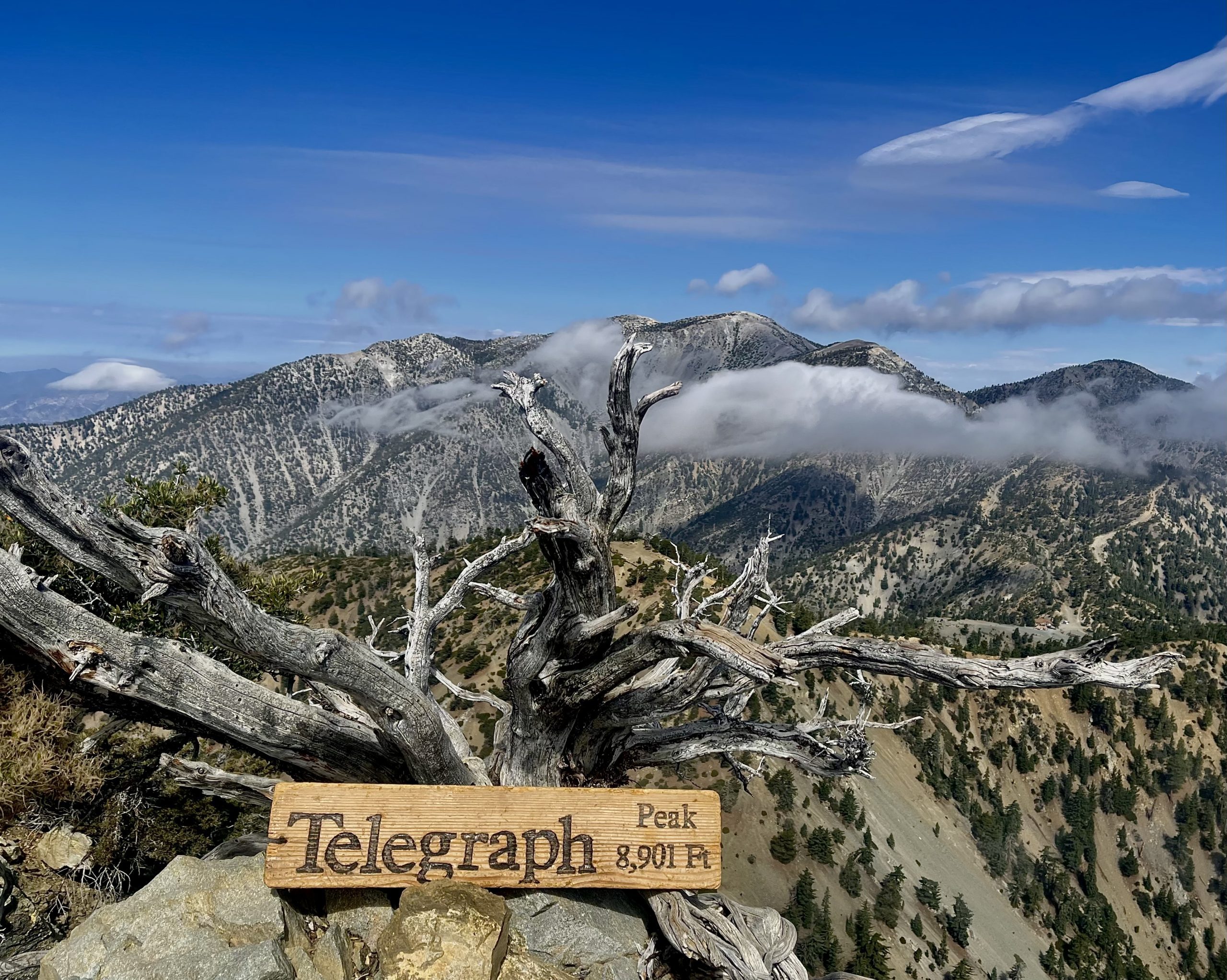 A weathered wooden sign reads, "Telegraph Peak 8,901 ft." in the foreground, next to a twisting, bare tree. In the background, a mountainous landscape stretches under a blue sky with scattered clouds.