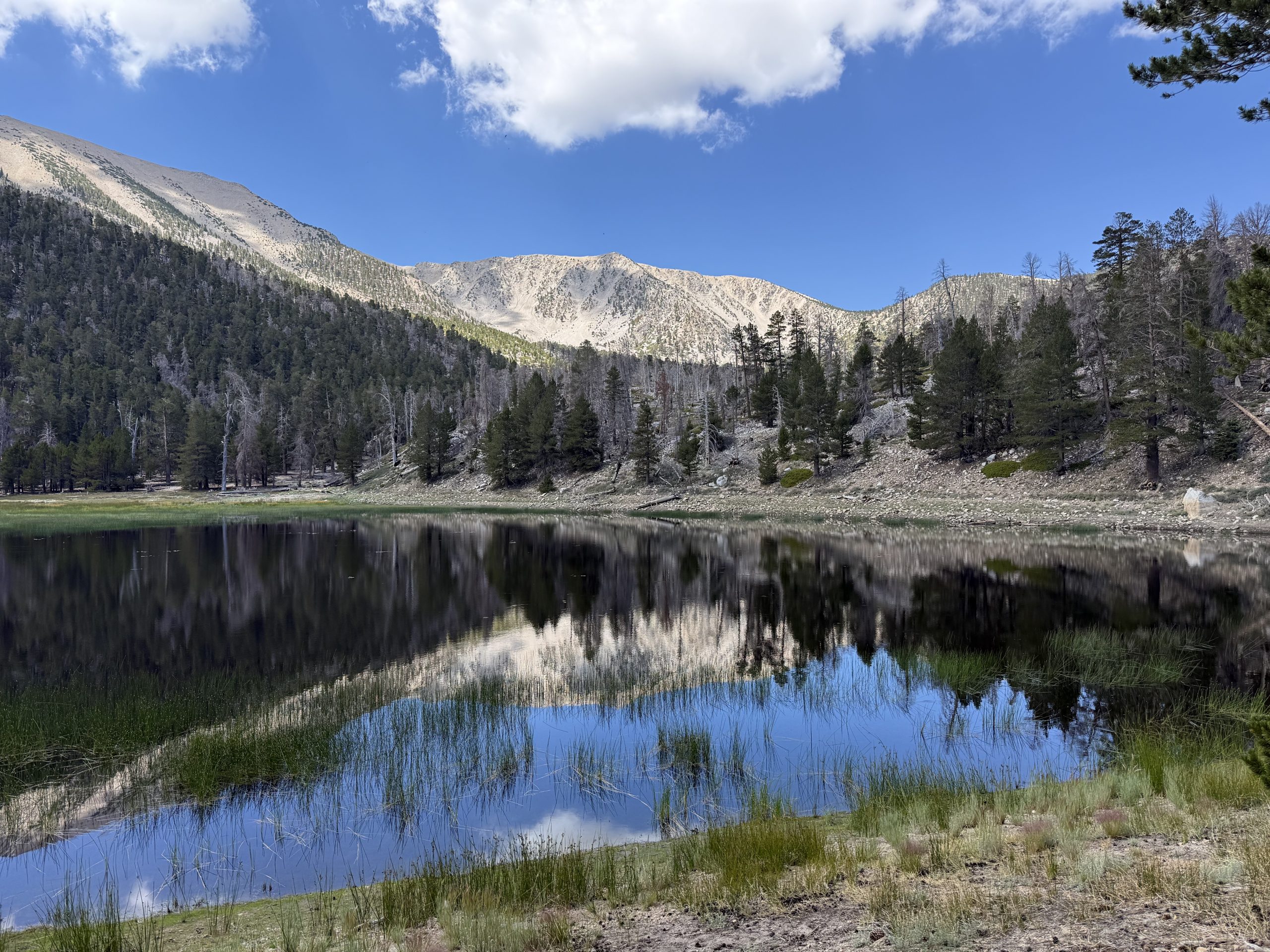 A serene mountain landscape featuring a calm lake surrounded by pine trees. The water reflects the rugged mountains and a partly cloudy blue sky. It's a peaceful and natural setting.