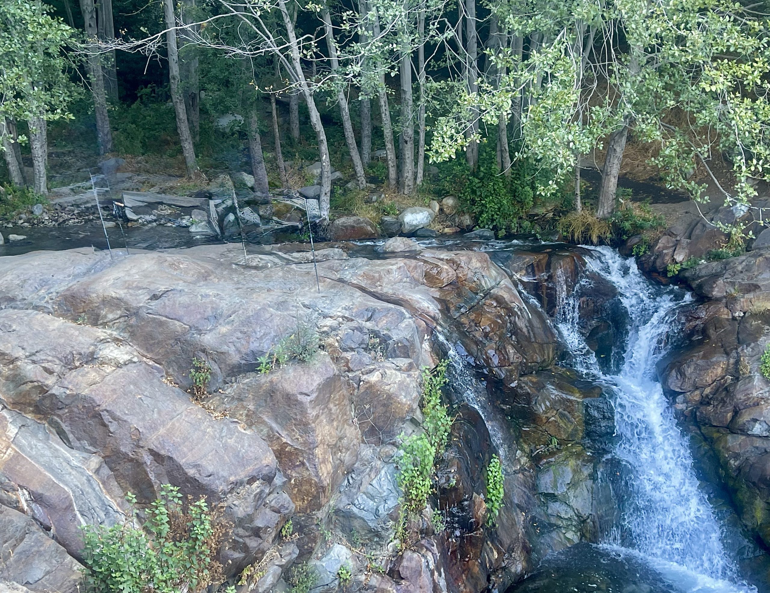 A small waterfall cascades over rocks in a forest.
