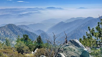 A scenic view of a mountain showcasing lush green pines, rugged rocks, and a dry tree in the foreground. Layers of distant mountain ranges fade into mist, under a clear blue sky with scattered clouds.