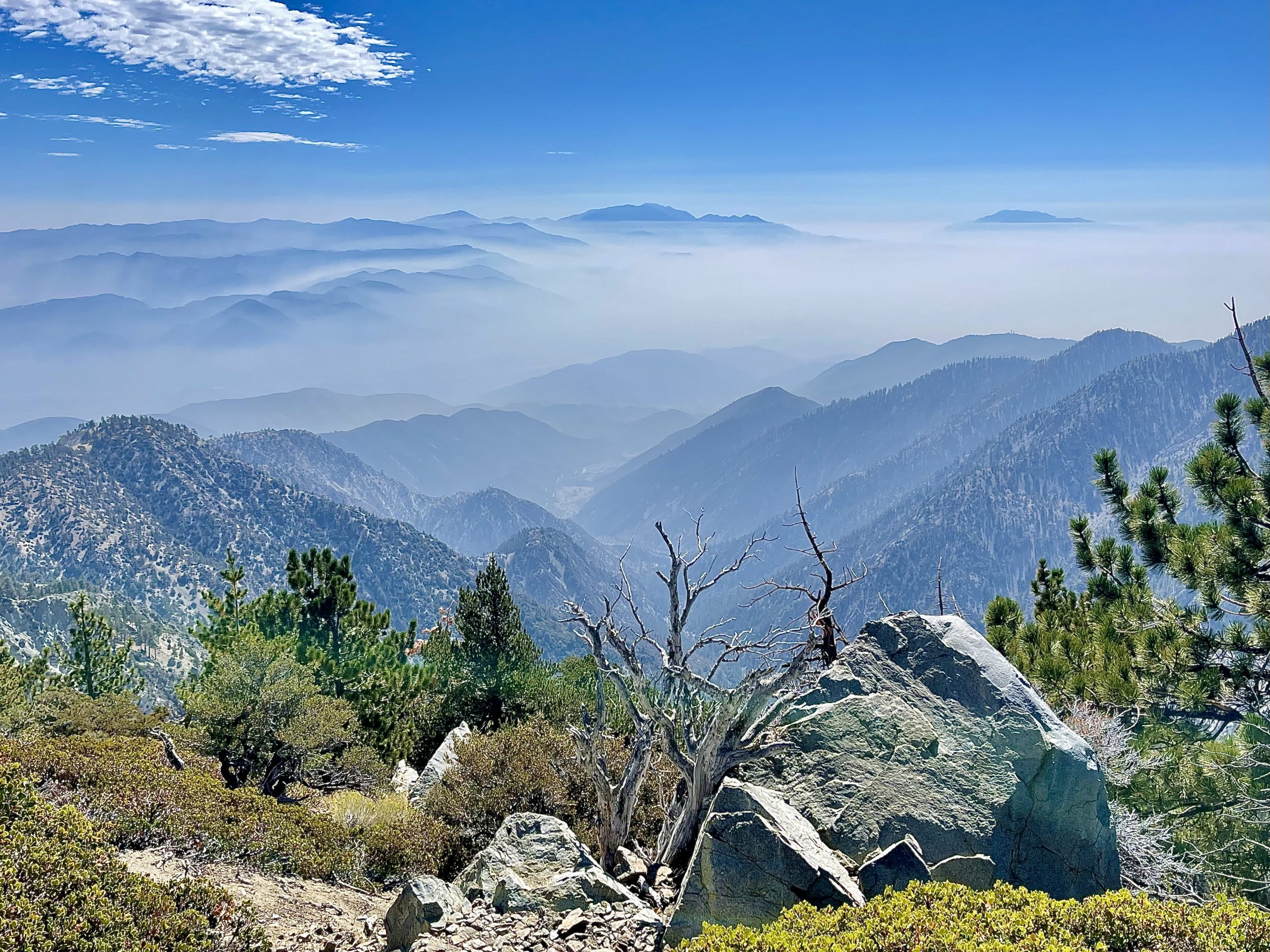 A scenic view of a mountain showcasing lush green pines, rugged rocks, and a dry tree in the foreground. Layers of distant mountain ranges fade into mist, under a clear blue sky with scattered clouds.