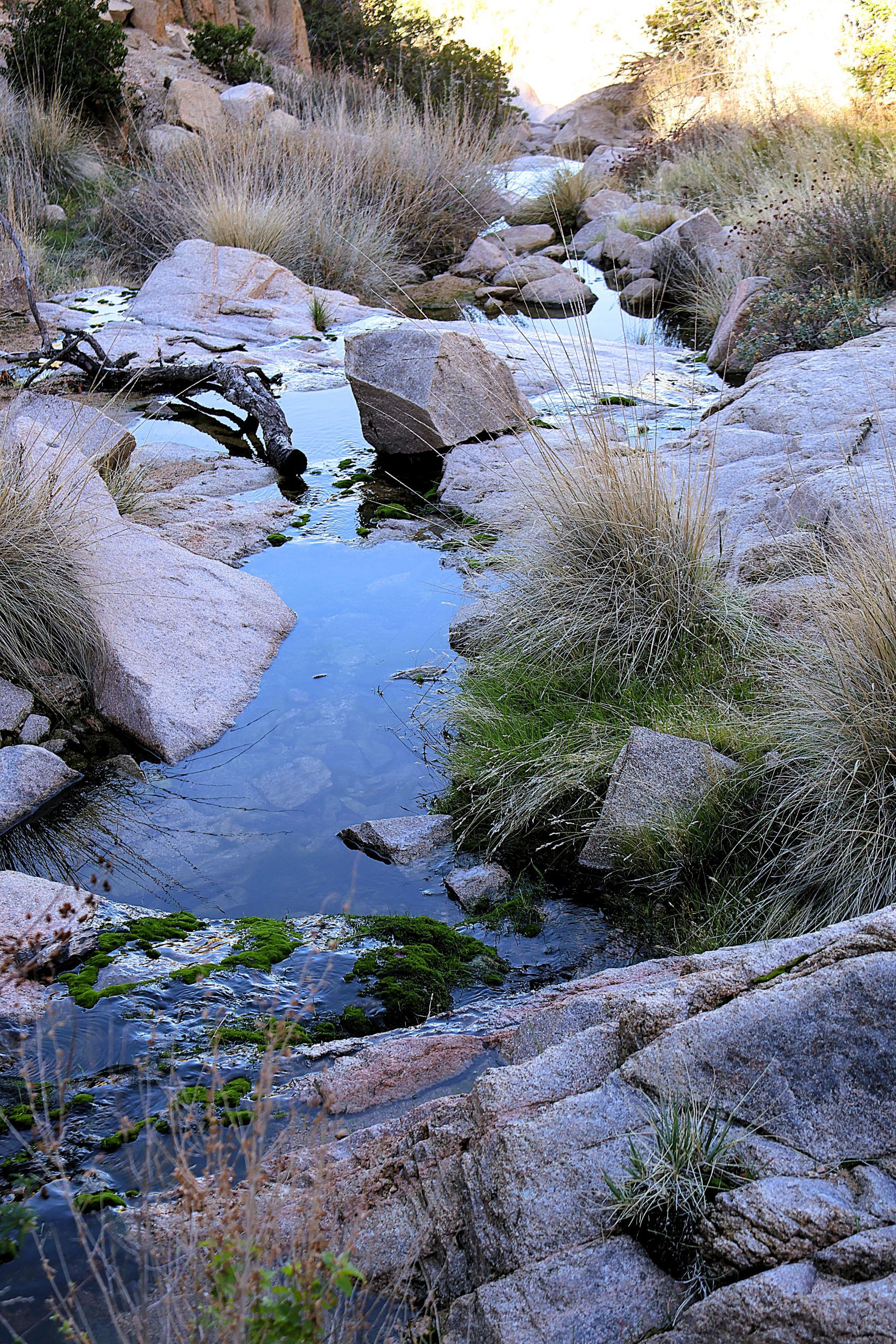 A stream of water surrounded by rocks and dry grass. The water reflects the sky.