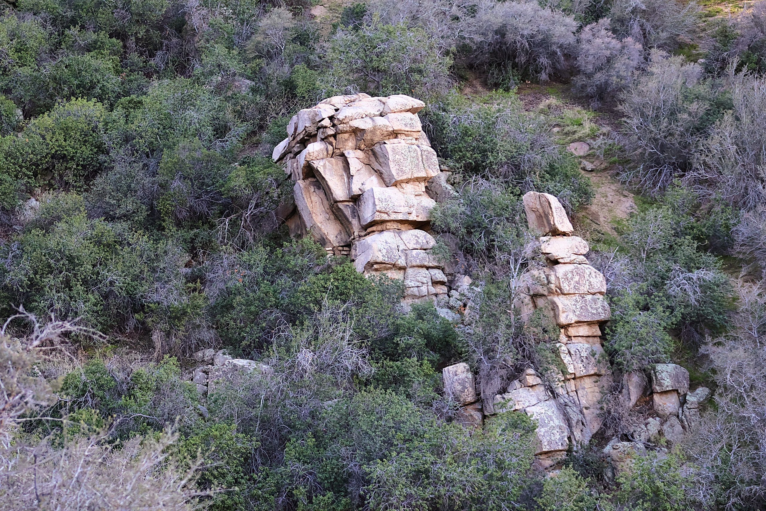 A rock formation surrounded by green vegetation.