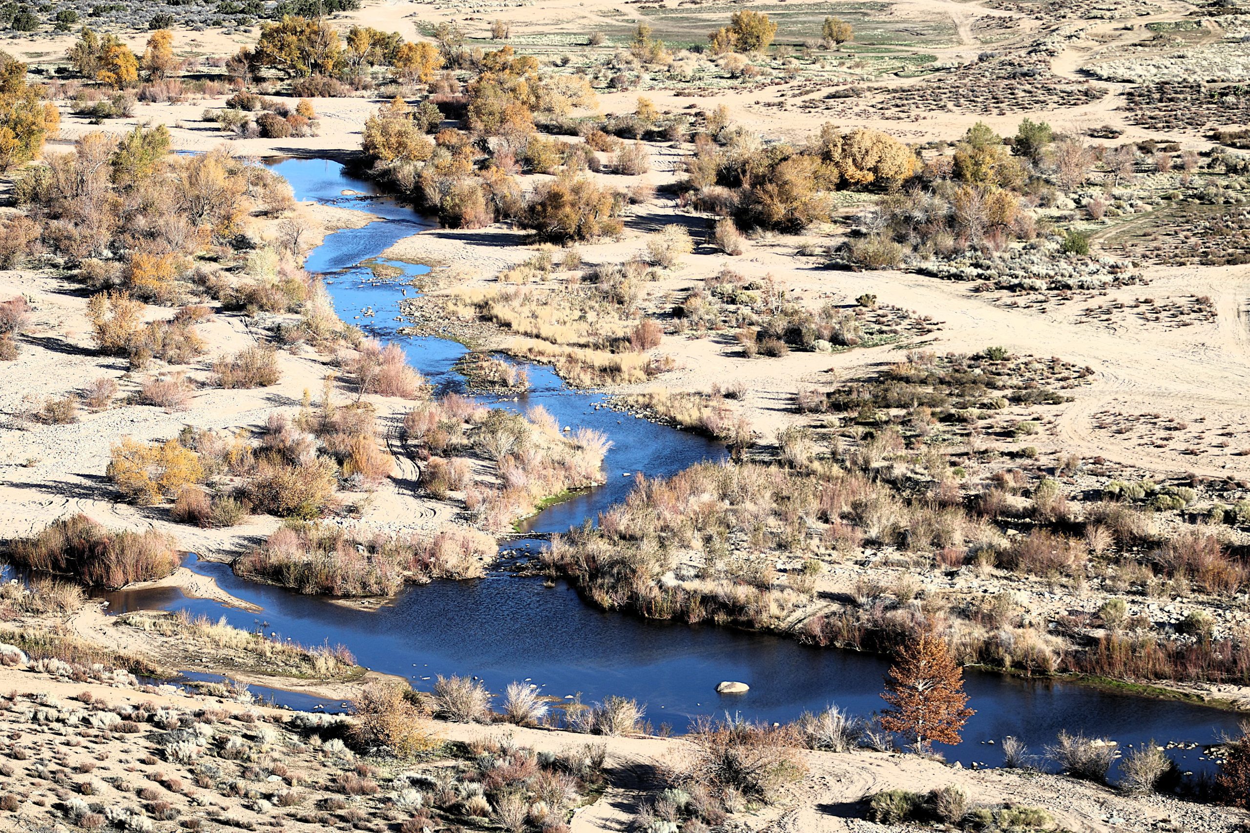 A river flowing through a desert landscape.