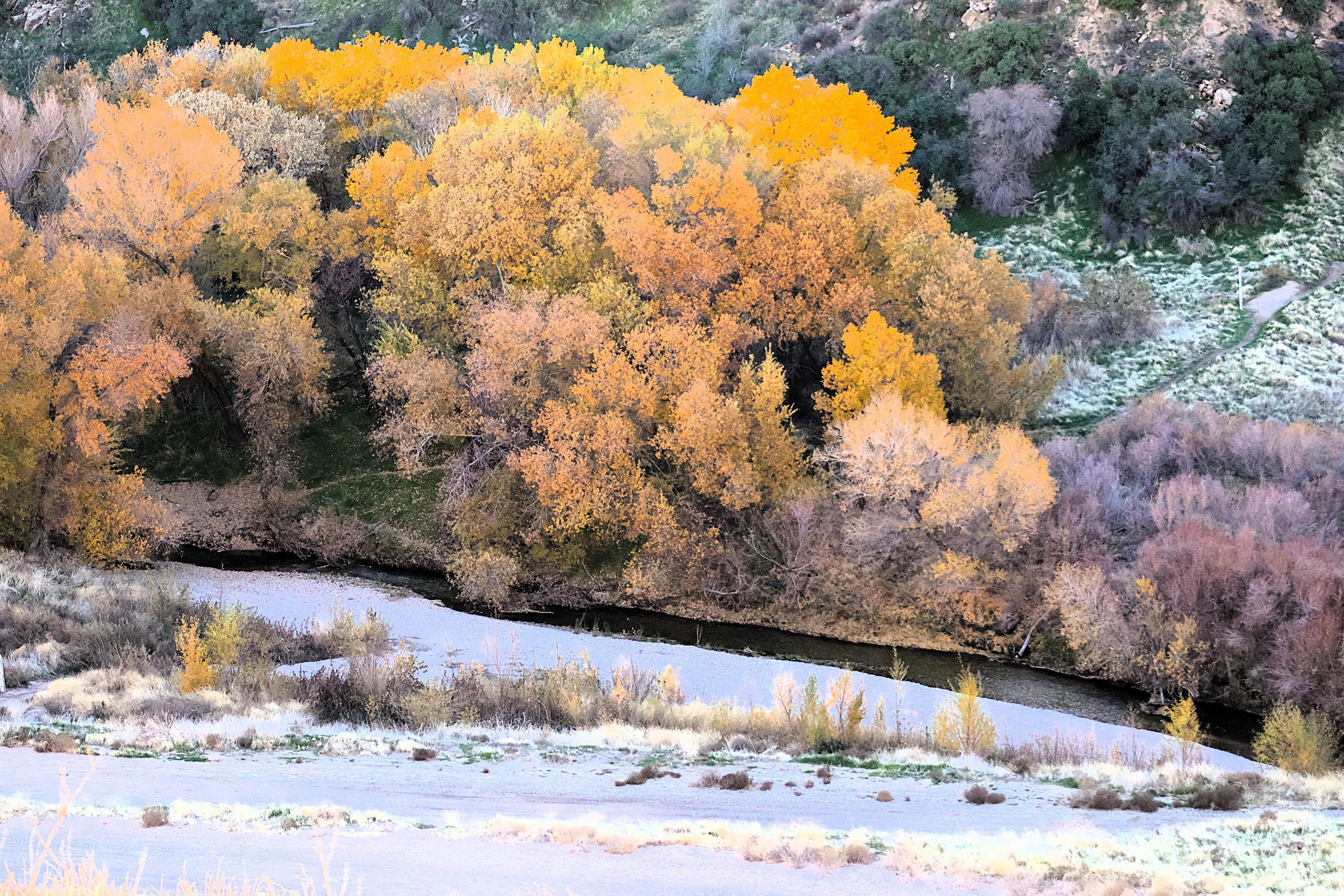 Vegetation in shades of yellow and orange along the banks of a river with hills in the background.