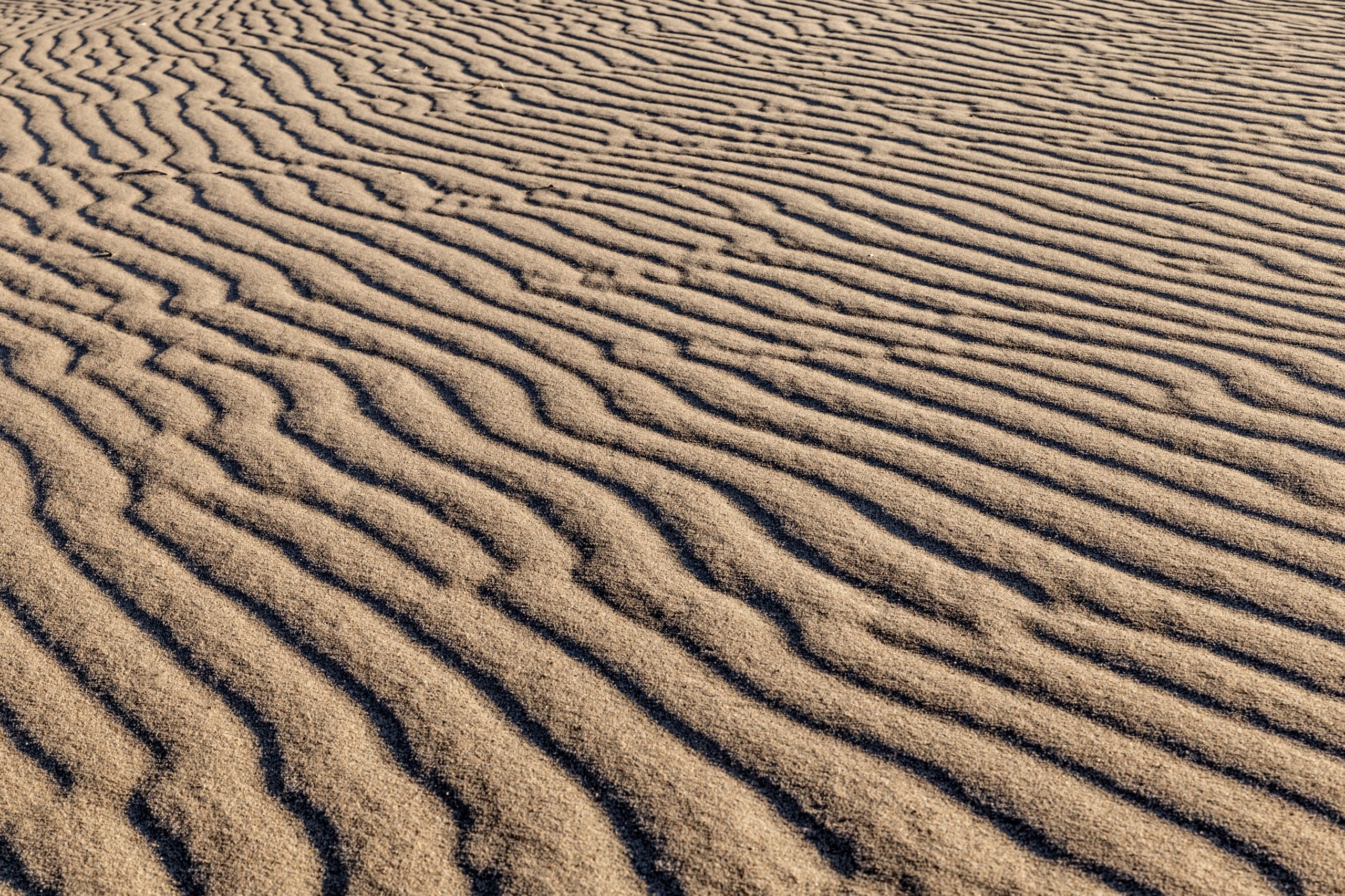 Image of sand dunes.