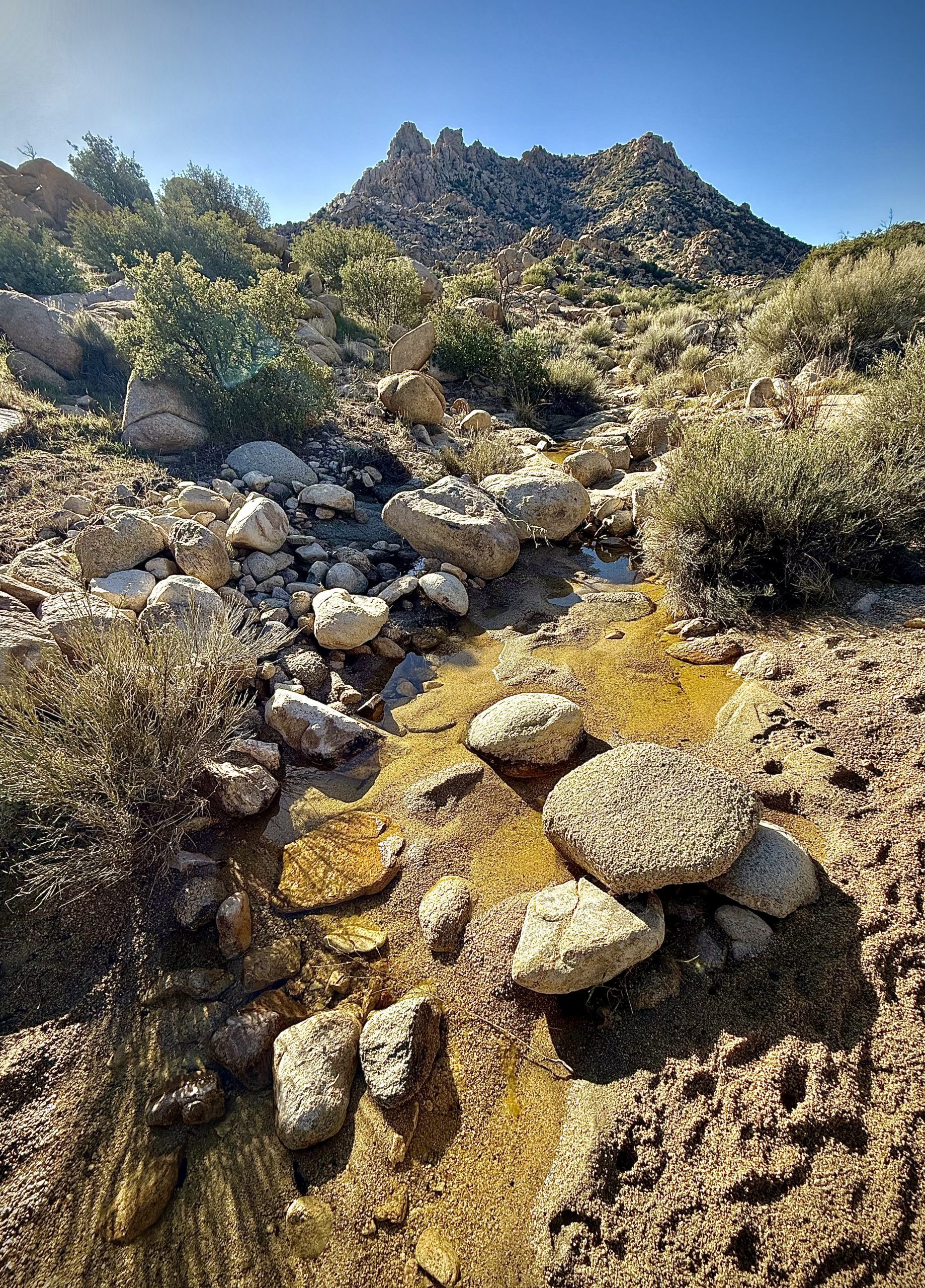 A rocky desert landscape featuring a small stream with scattered boulders. Vegetation, including shrubs and small trees, surrounds the area. In the background, there are rugged hills under a clear blue sky.