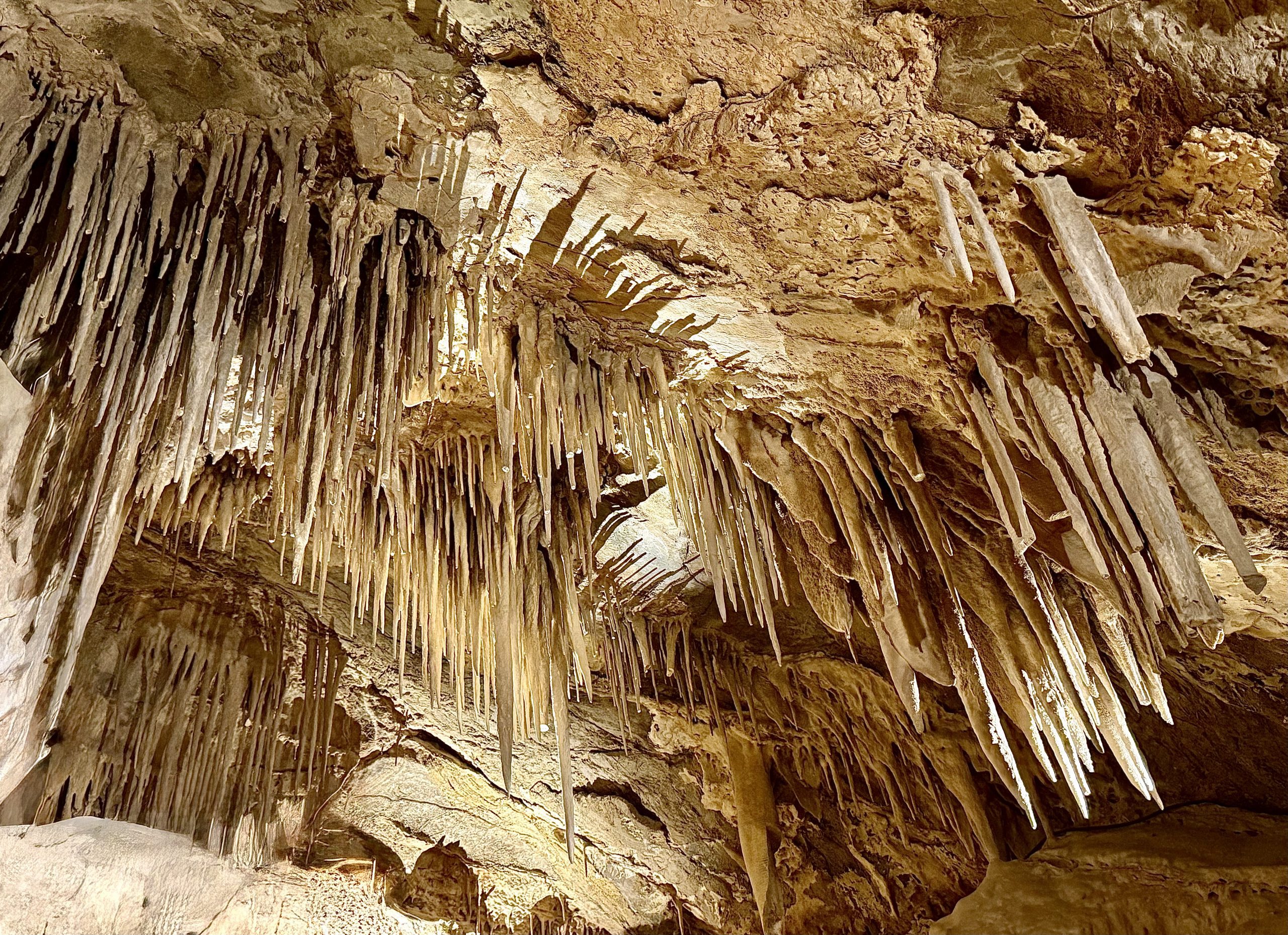 Cave featuring limestone formations hanging from the ceiling.