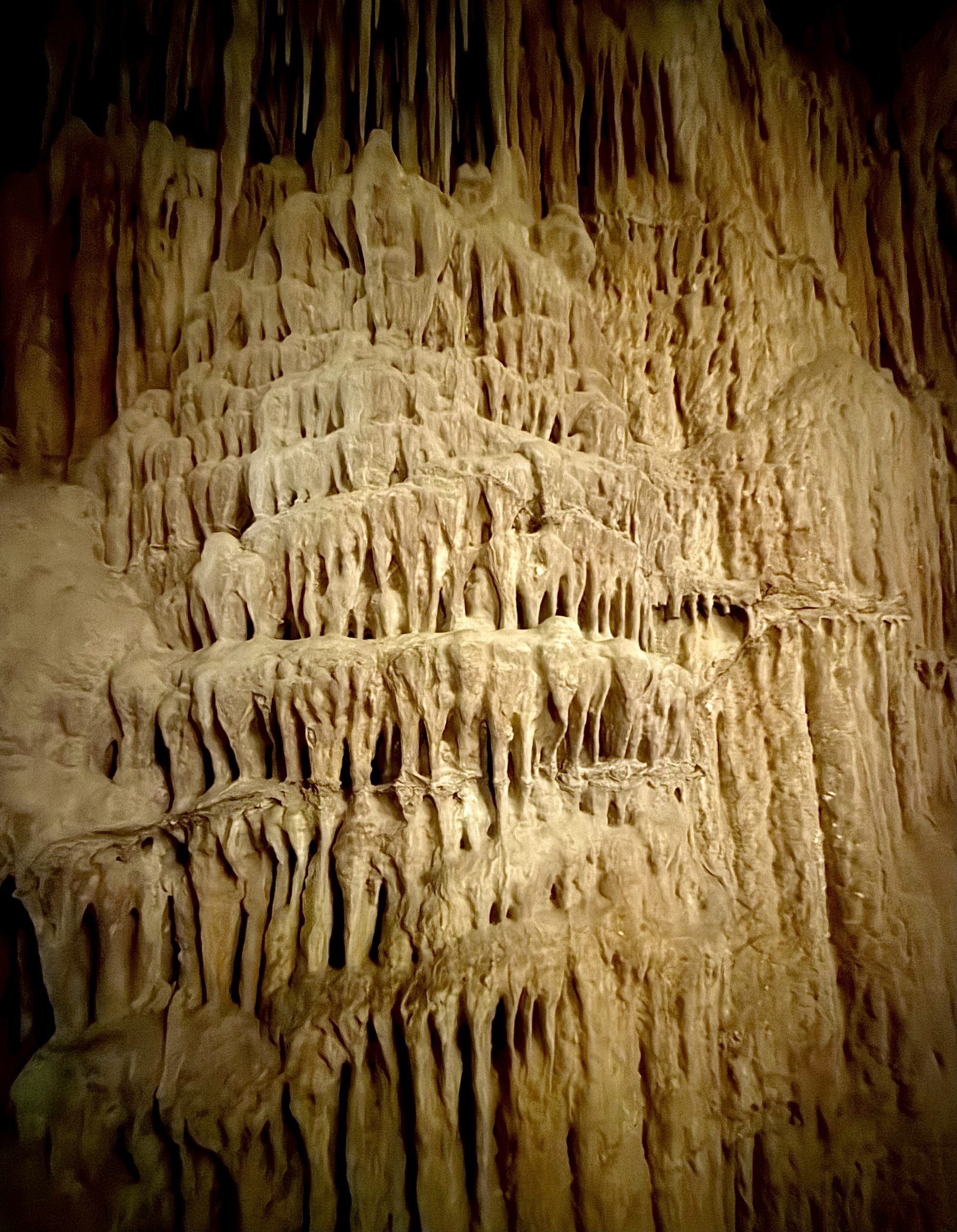 Limestone formations with varying textures and shades of brown and beige.