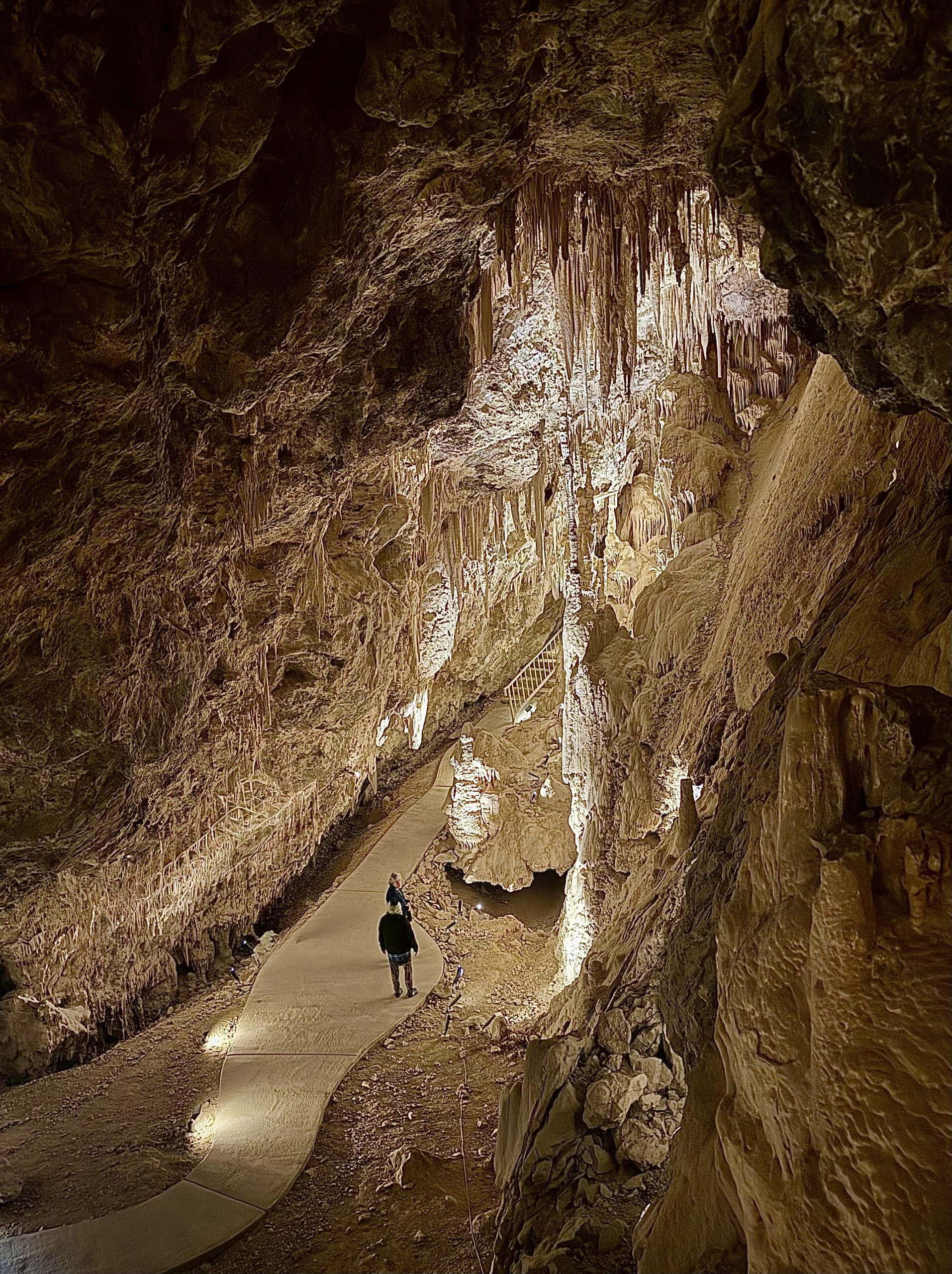 Two people stand on a winding path inside the Mitchell Caverns surrounded by limestone formations.