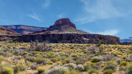 Desert landscape featuring a flat-topped mesa surrounded by rugged terrain and sparse vegetation under a blue sky.