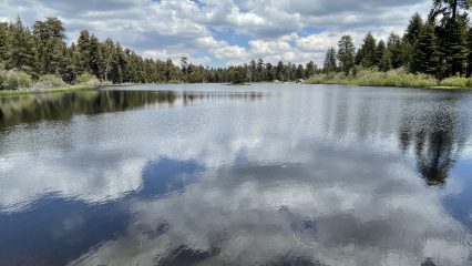 A mountain lake surrounded by a forest.