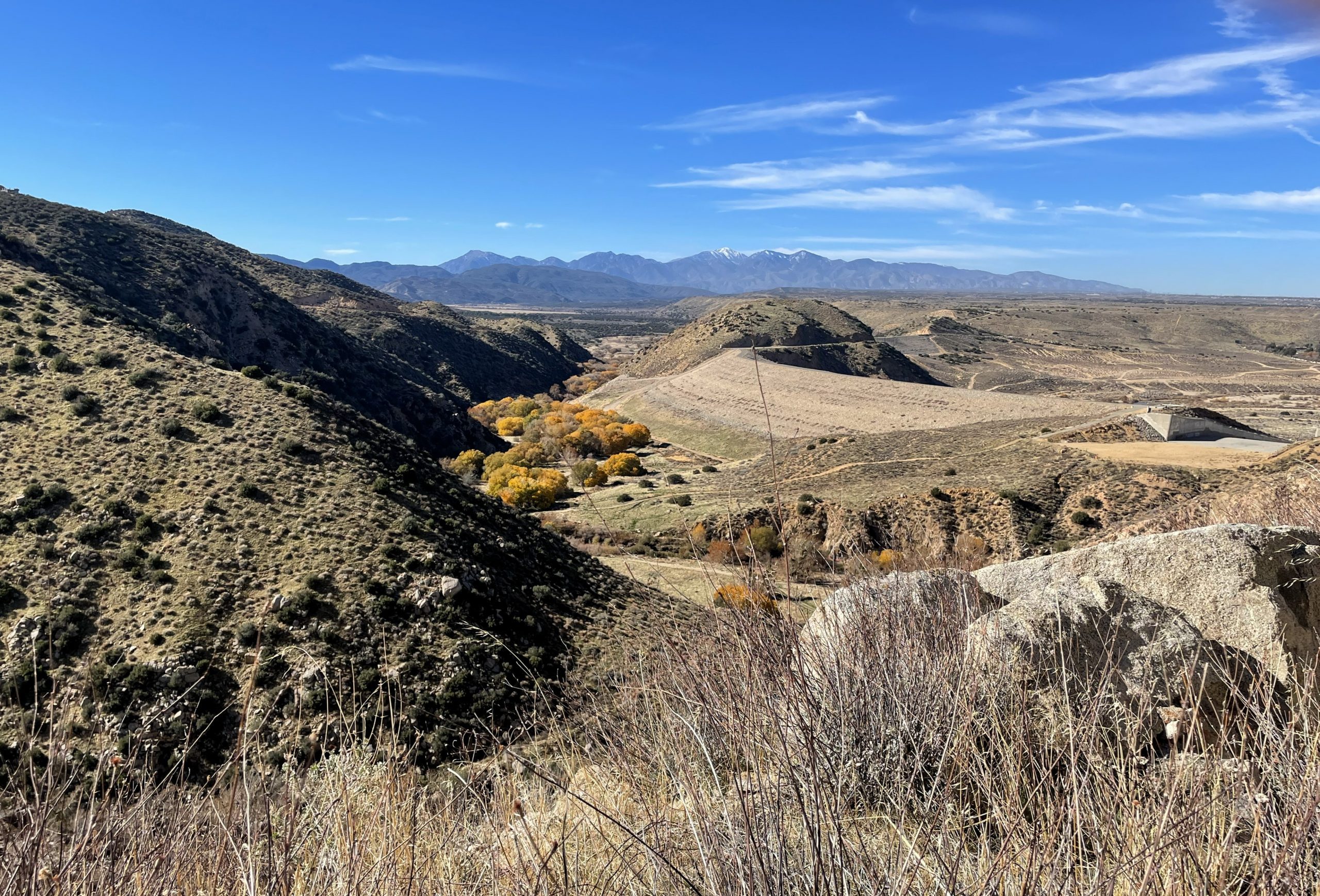 A valley with vegetation and mountains in the distance.