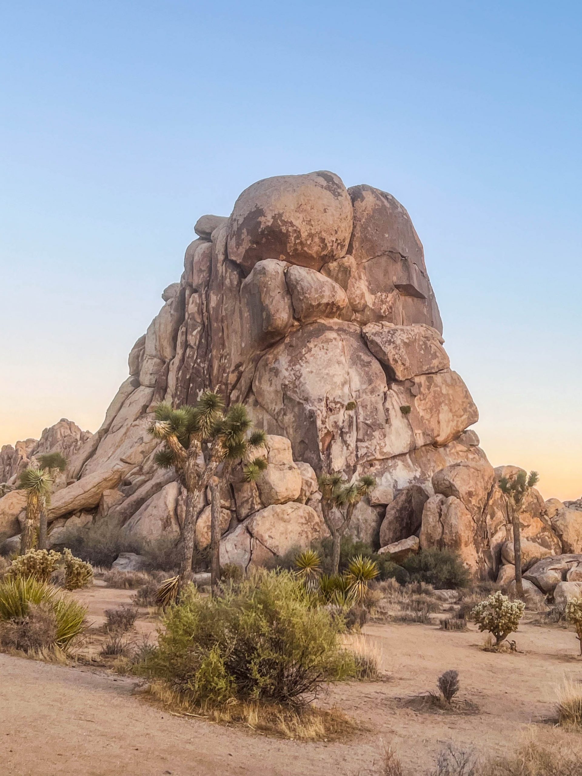 Sunset at Joshua Tree National Park with Joshua trees and rock formations in the background.