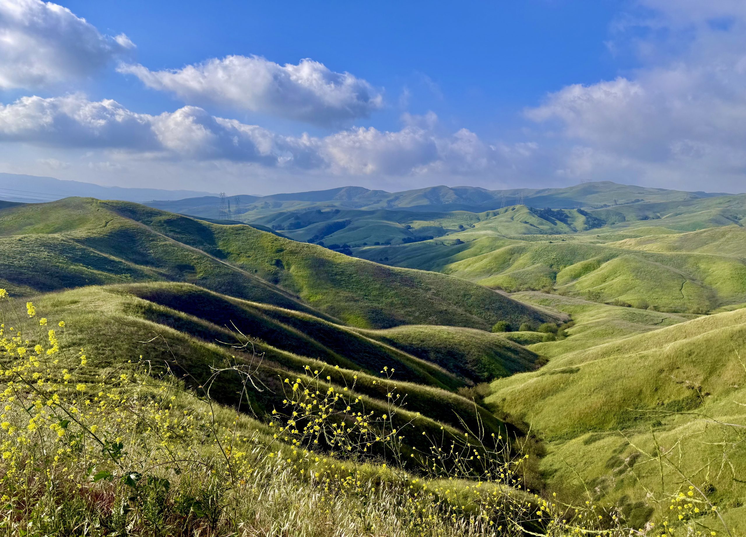 Green hills under a clear sky with fluffy clouds. Scattered yellow wildflowers are in the foreground.