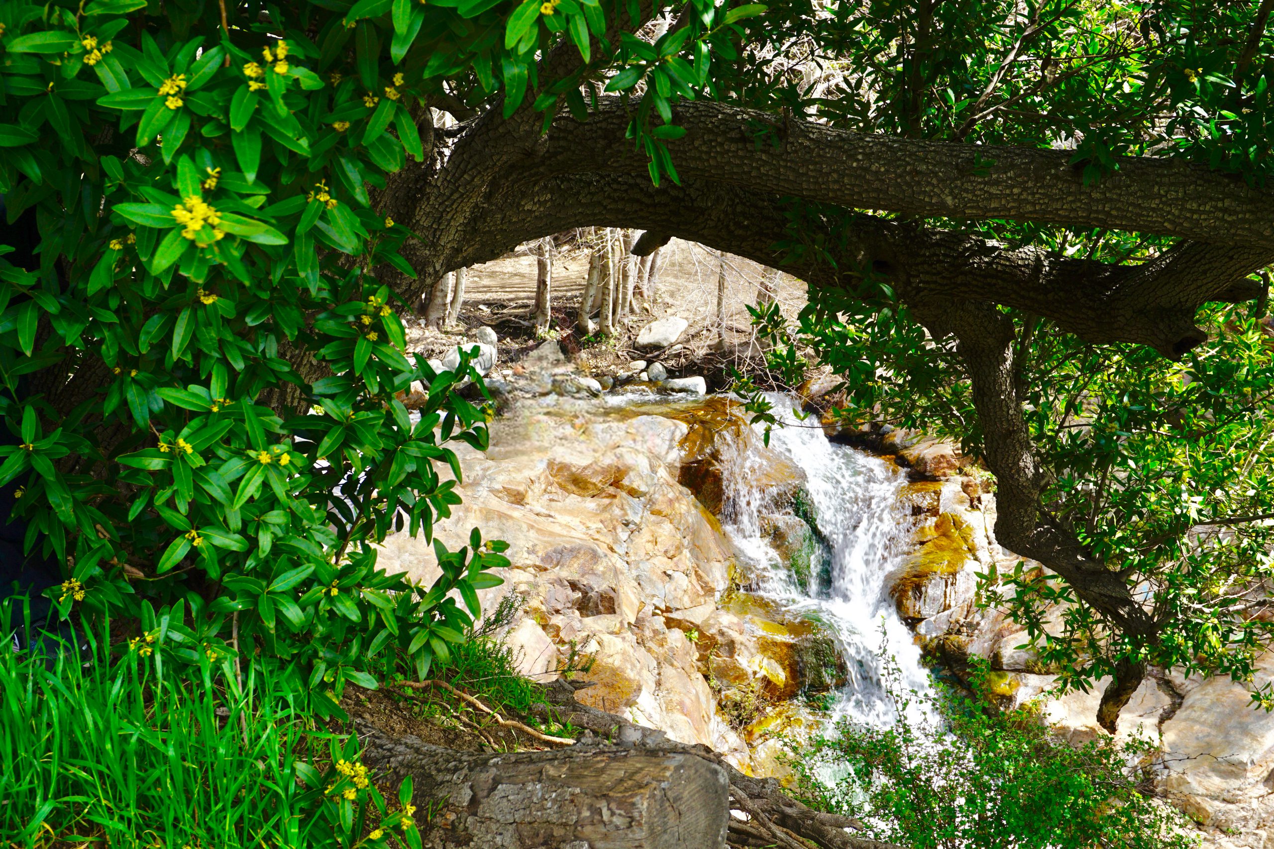 A small cascading waterfall flows over rocky terrain surrounded by lush greenery.