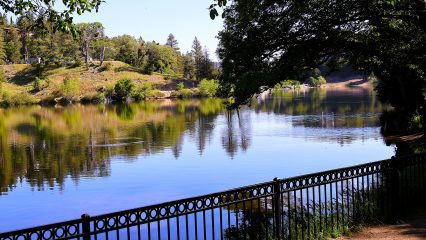 A lake surrounded by trees with a black metal fence following the shoreline.
