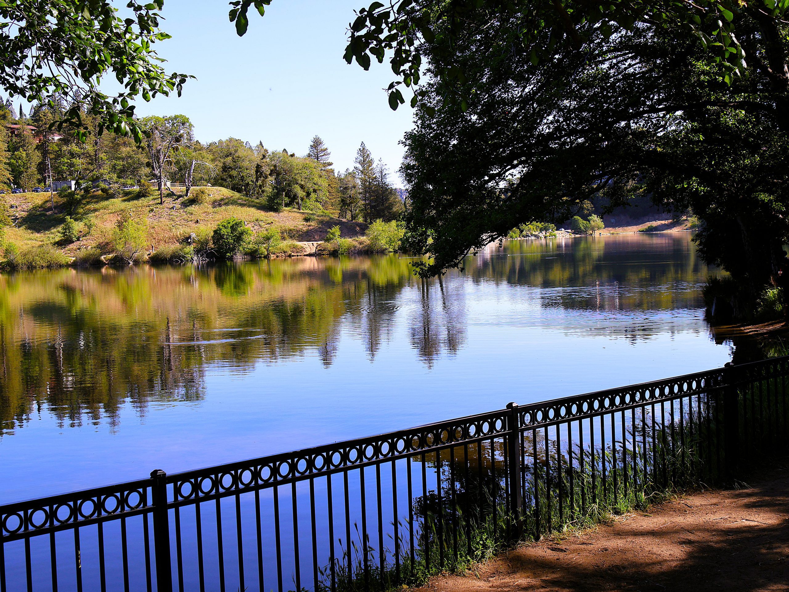 A lake surrounded by trees with a black metal fence following the shoreline.