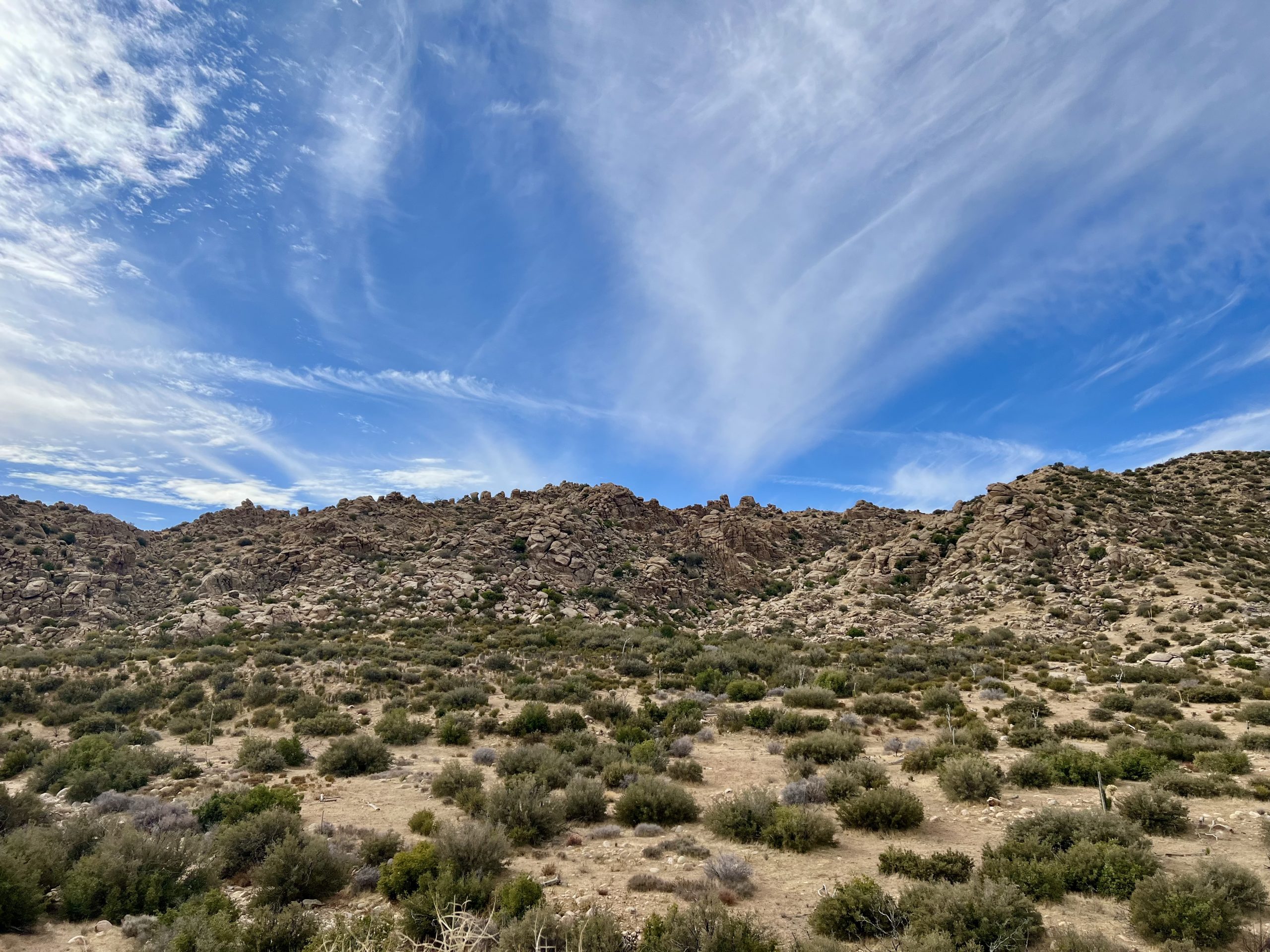 View of the Pioneertown Mountains Preserve showcasing a vast landscape with rocky terrain and scattered vegetation under a clear blue sky.