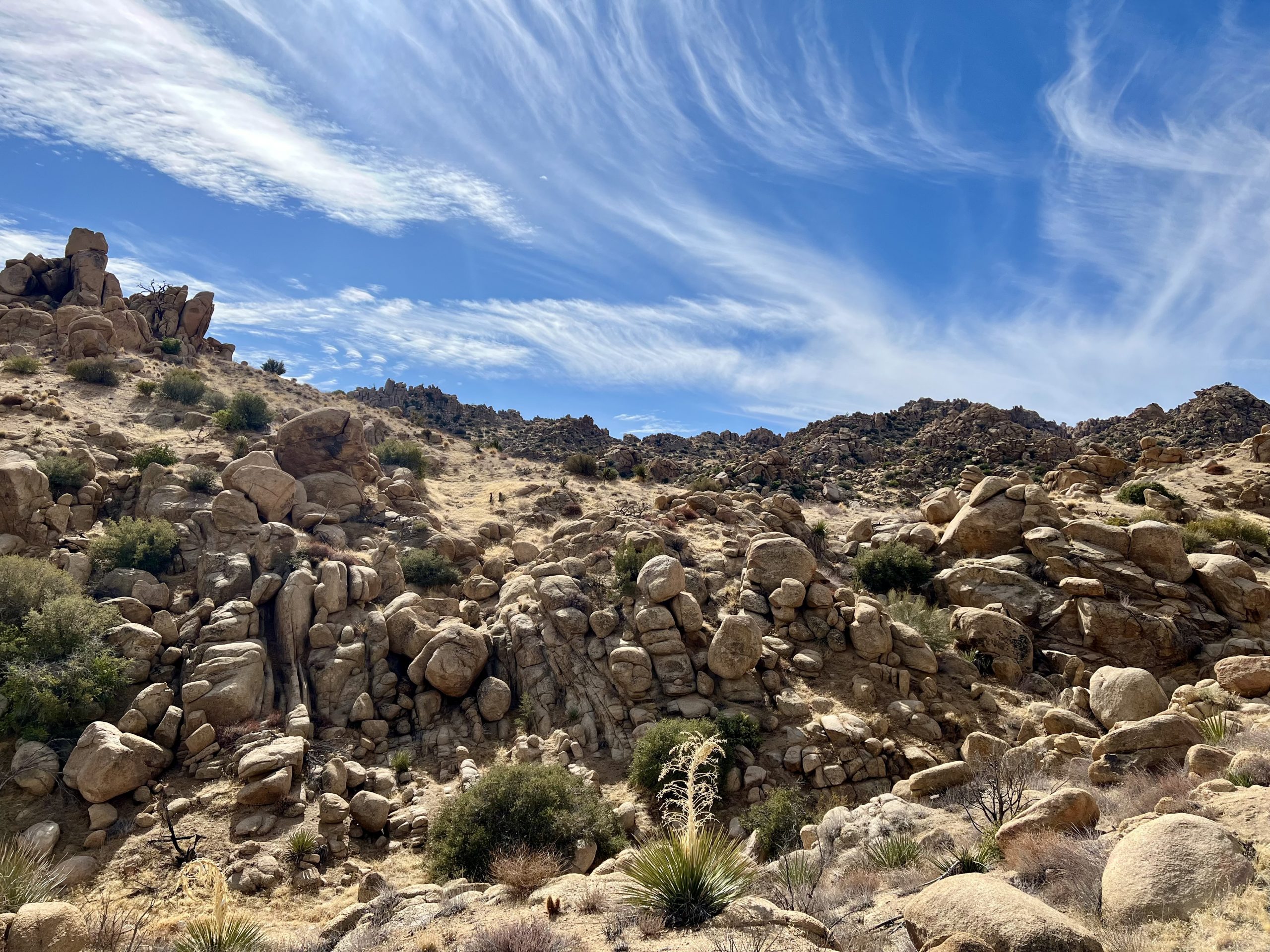 View of the Pioneertown Mountains Preserve showcasing a vast landscape with rocky terrain and scattered vegetation under a clear blue sky.