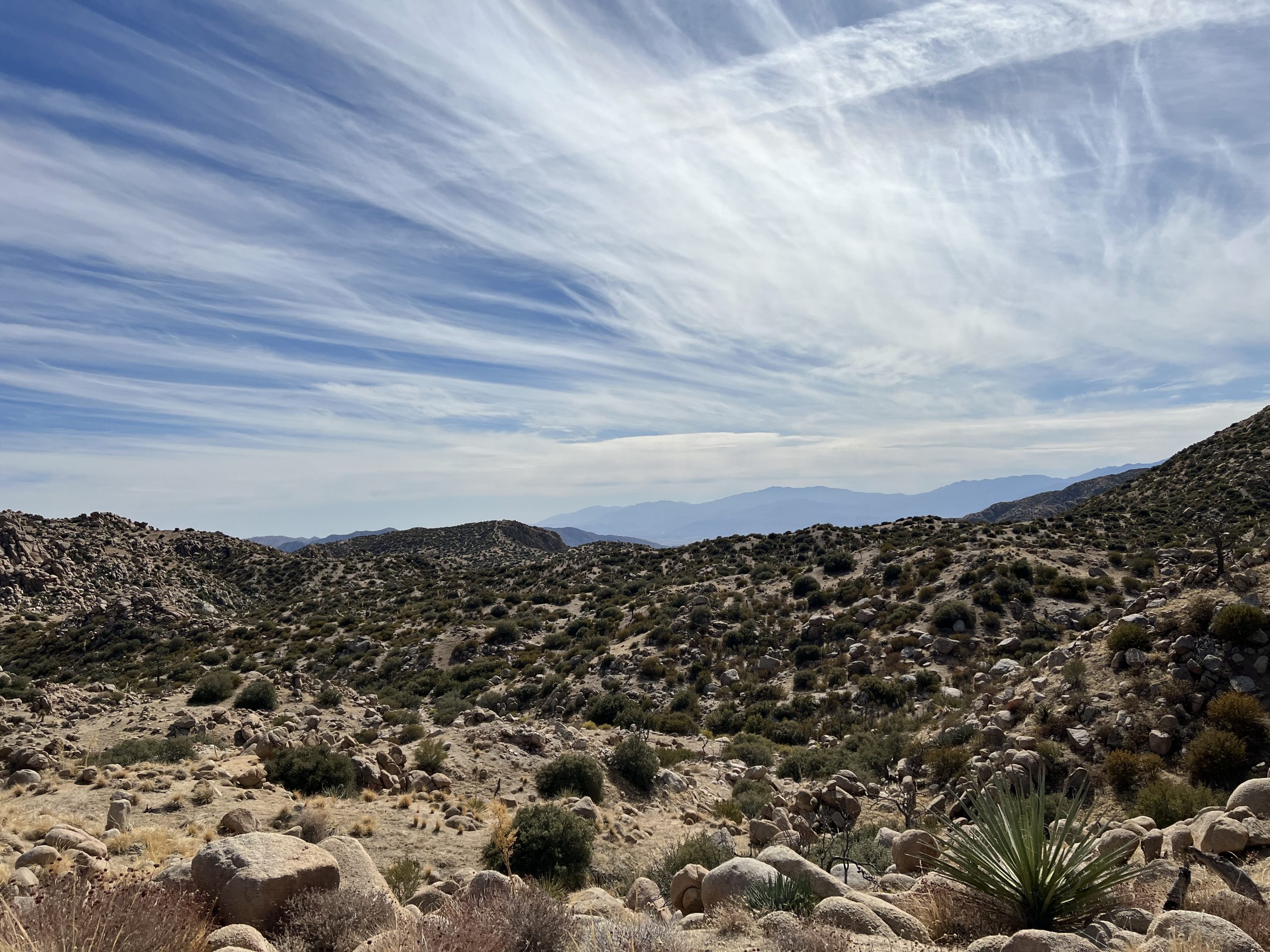 Image of a rocky landscape at the Pioneertown Mountains Preserve with scattered boulders and desert vegetation under a clear blue sky.