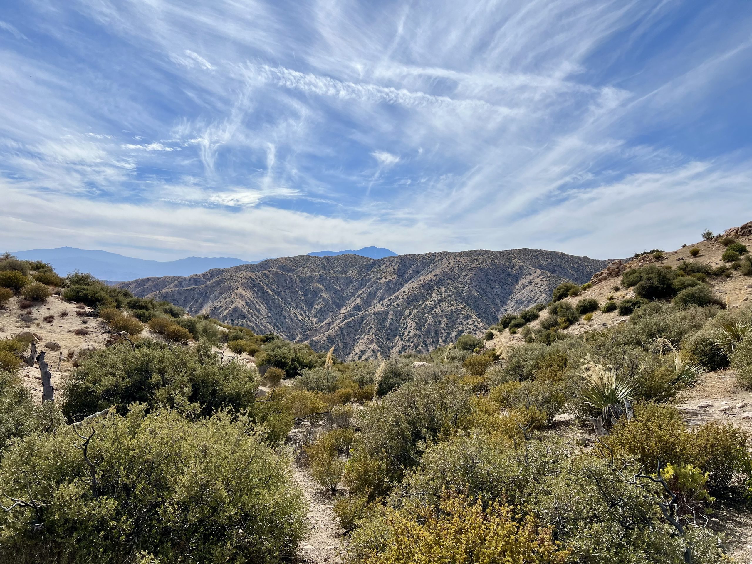 View of the Pioneertown Mountains Preserve under a clear blue sky and wispy clouds, featuring a trail with desert vegetation.