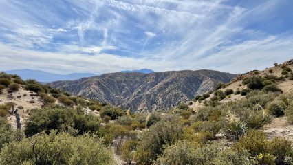 View of the Pioneertown Mountains Preserve under a clear blue sky and wispy clouds, featuring a trail with desert vegetation.