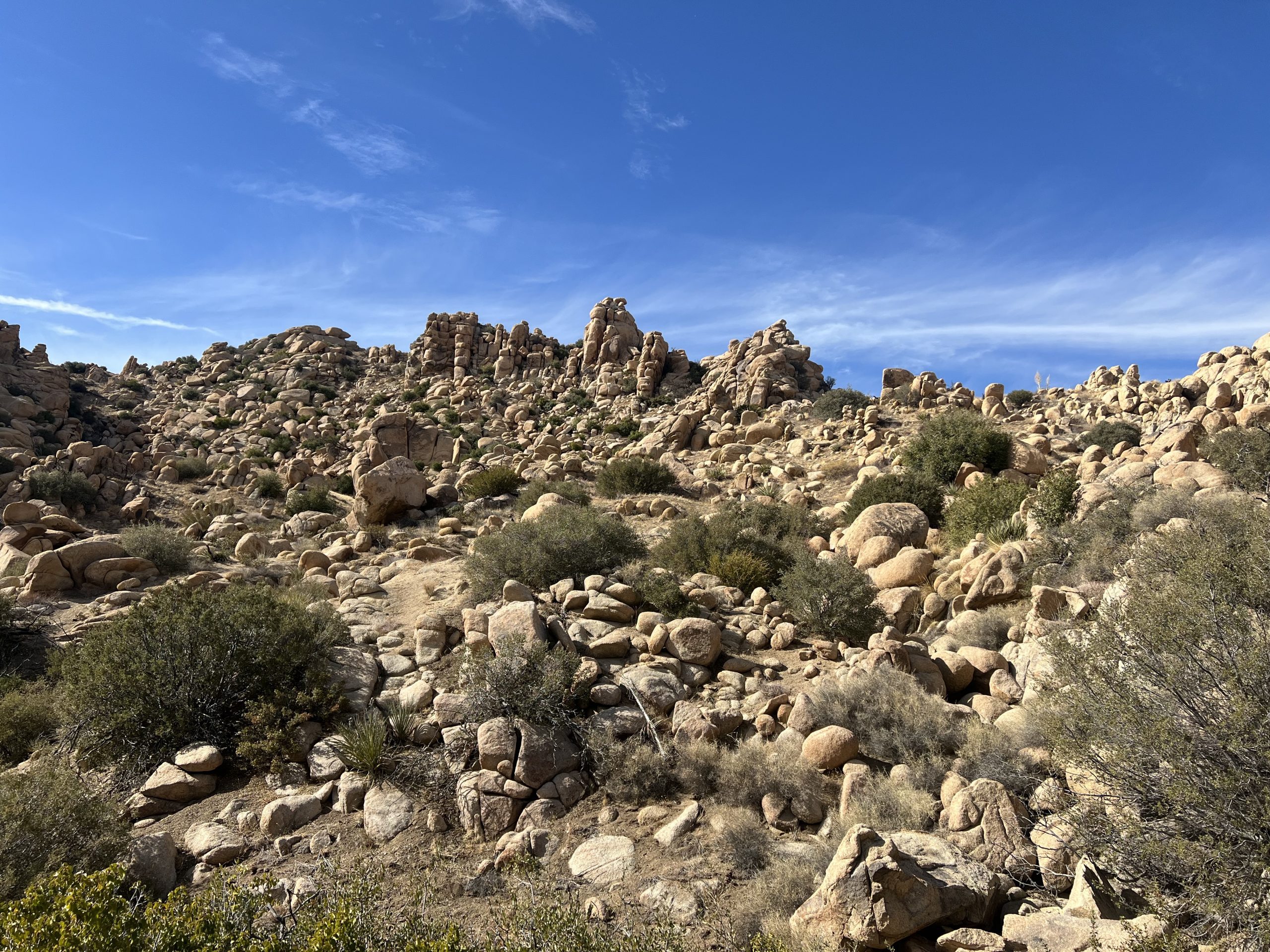 Image of a rocky landscape at the Pioneertown Mountains Preserve with scattered boulders and desert vegetation under a clear blue sky.