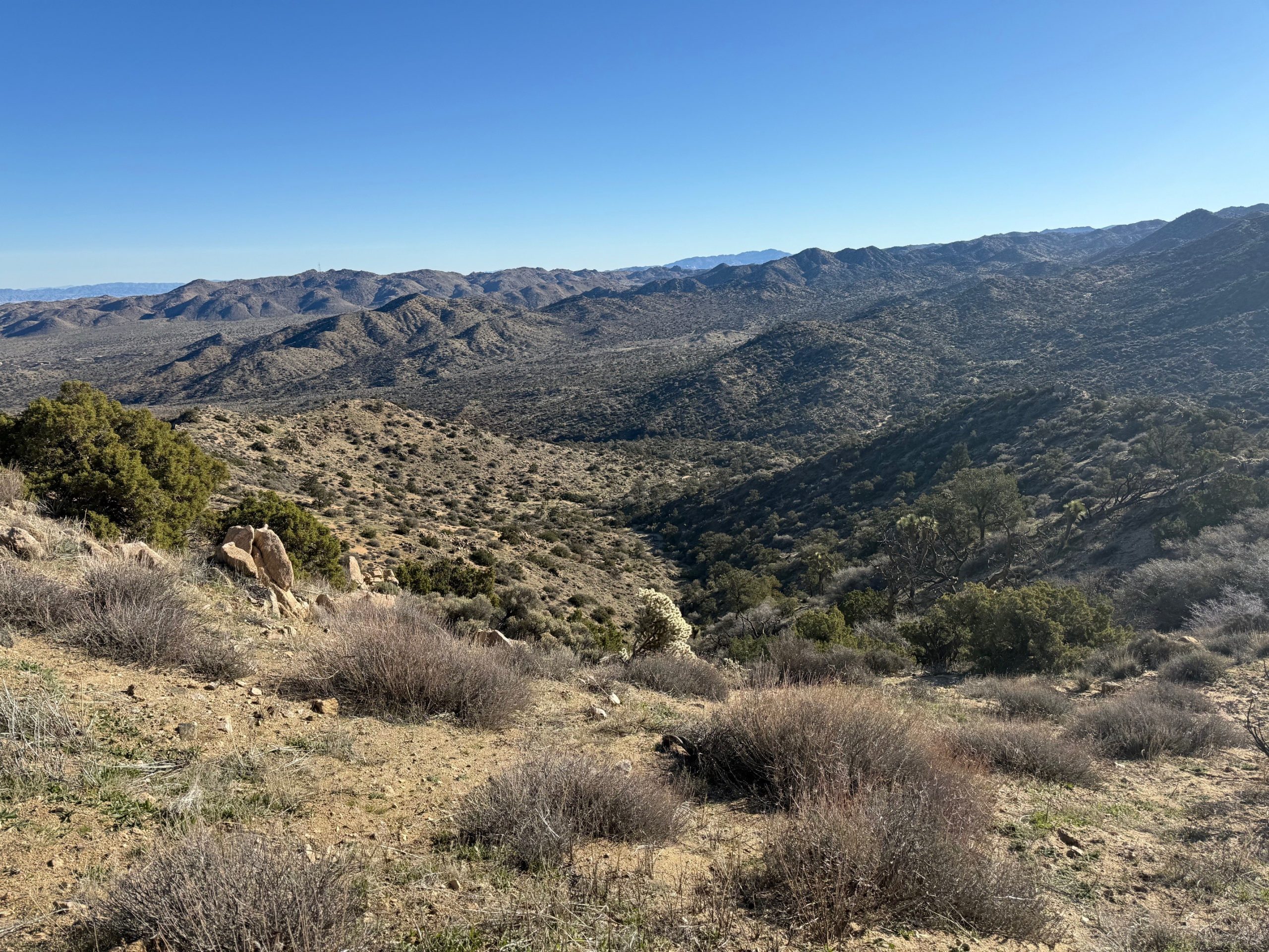 View of some hills covered with vegetation.