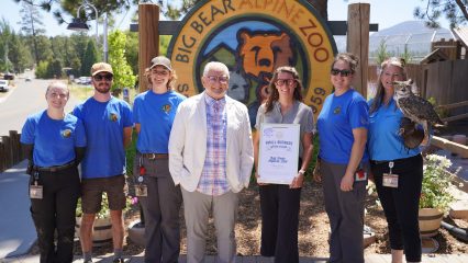 Group of people and an owl in front of the Big Bear Alpine Zoo sign, celebrating a small business award.