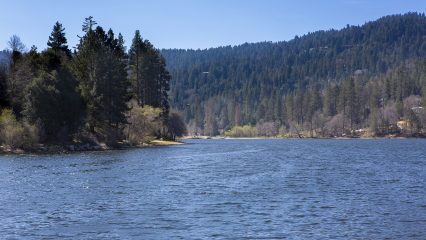 A lake surrounded by a forest under a clear blue sky.