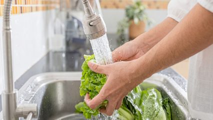 Hands rinsing fresh lettuce under running water in a kitchen sink.