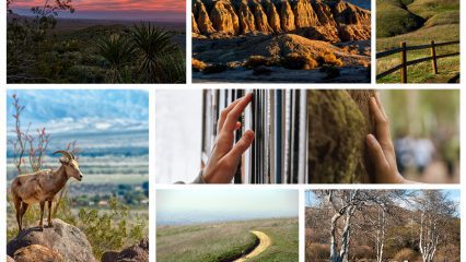 Collage of seven landscape and detail photographs: a sunset over a desert landscape, rugged canyon formations, rolling green hills with a wooden fence, a desert bighorn sheep on a rocky outcrop, a hand selecting a book from a library shelf, a hand touching tree bark, and a dirt path winding through grassy hills.