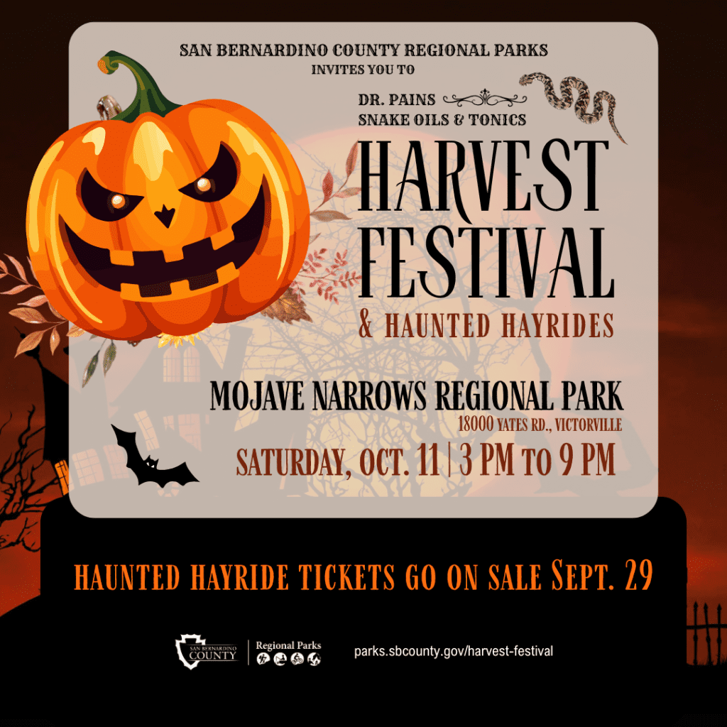 Orange and black Halloween-themed flyer with a pumpkin, flowers, snake, and bat. 