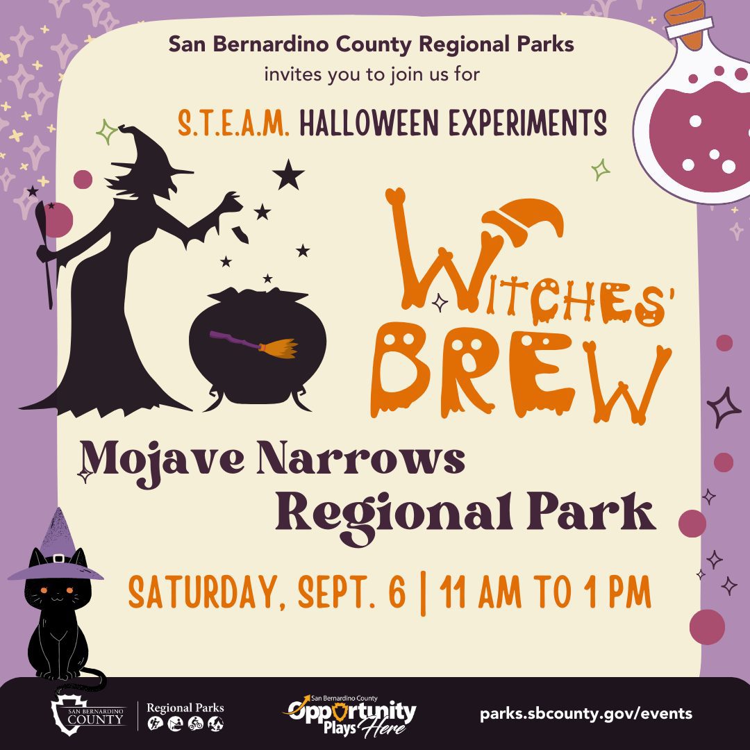 Flyer for San Bernardino County Regional Parks' S.T.E.A.M. Halloween Experiments event titled "Witches' Brew" at Mojave Narrows Regional Park on Saturday, September 6, from 11 a.m. to 1 p.m. Features images of a witch brewing a potion, a black cat, and themed decorations. Includes web address parks.sbcounty.gov/events.