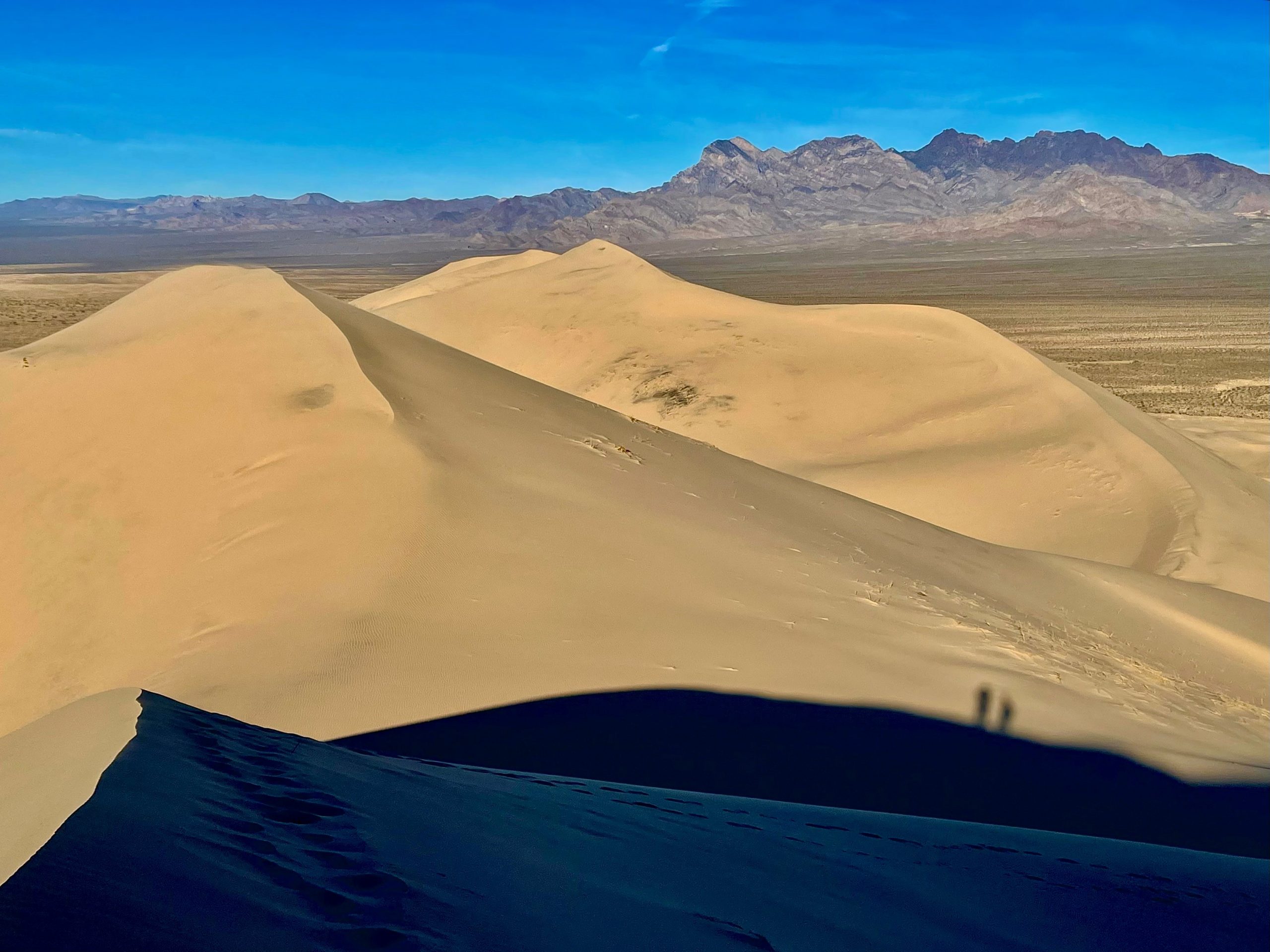 View of the Kelso Dunes with mountain ranges in the background.