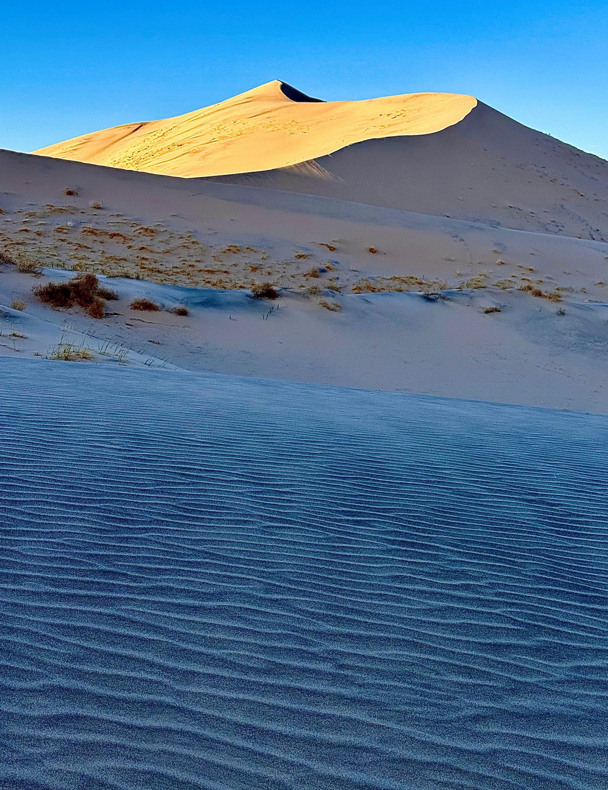 Early morning view of Kelso Dunes showing textured sand patterns with a large sand dune lit by sunlight in the background.