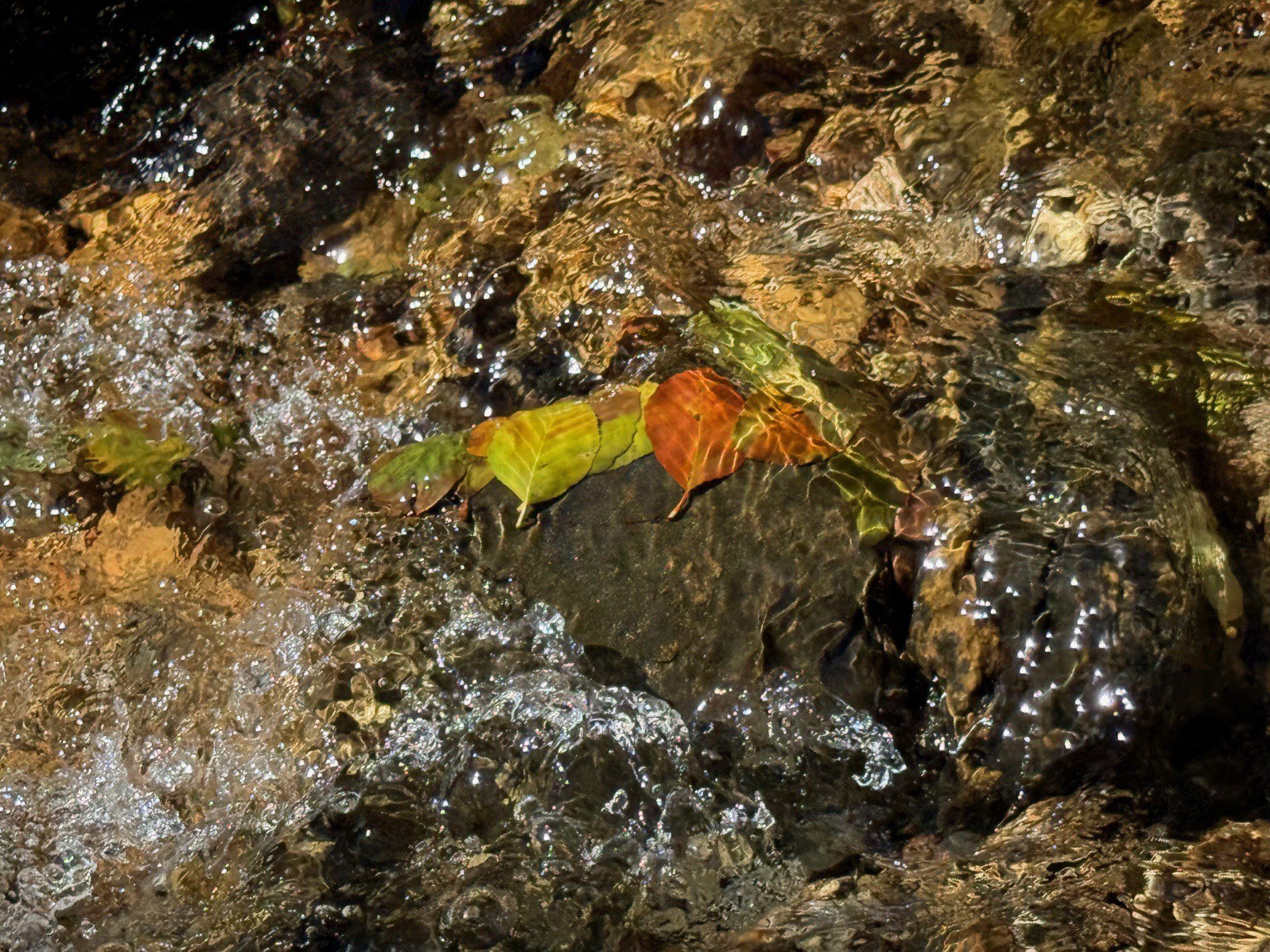 Fall-colored leaves on a rock in a stream of water.