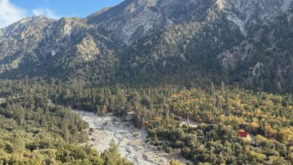 View of a dry riverbed winding through a forest. A small building is visible among the trees