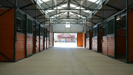 The inside view of the new barn and stalls with a glimpse of an older stable building visible through the open barn doors.