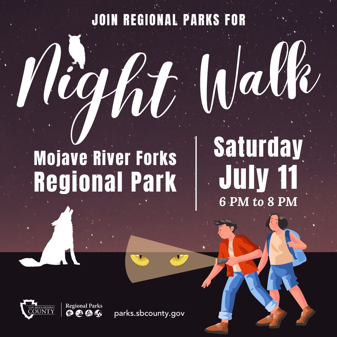 Night sky with owl, coyote and two boys with a flashlight on predator eyes. Text: Join Regional Parks for Night Walk with Regional Parks logo and parks.sbcounty.gov.